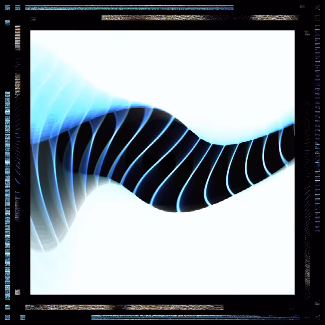 Morphed In Transient