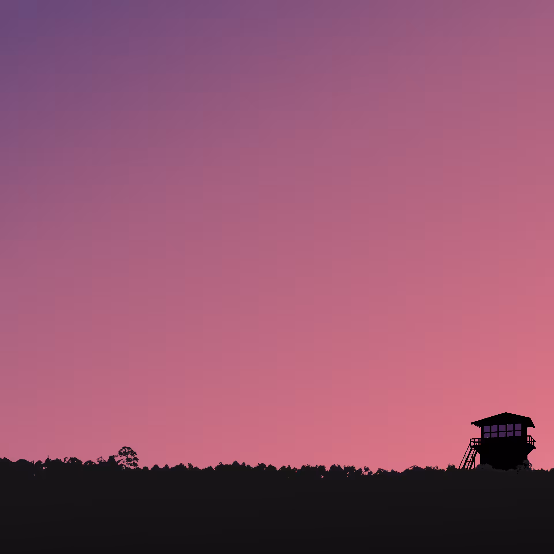 The.pink.hood Ozarks Night