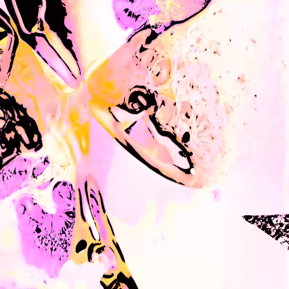 Brane Cosmology Study 001