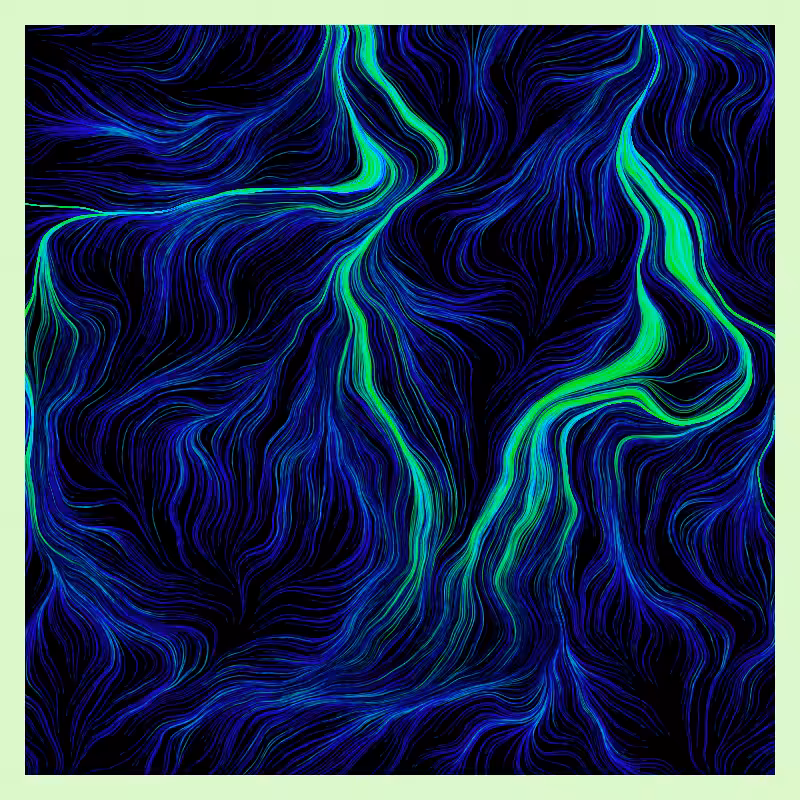 Roots #29