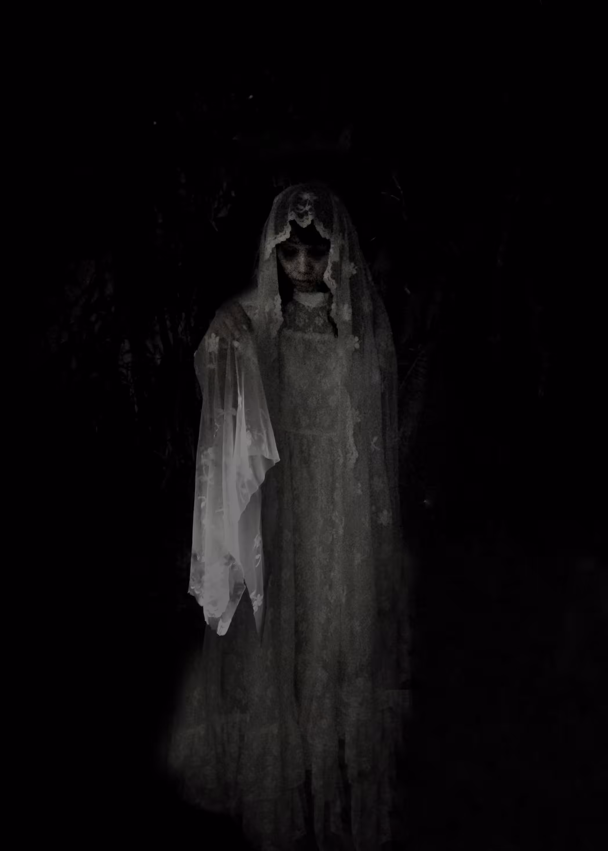 The Visitant