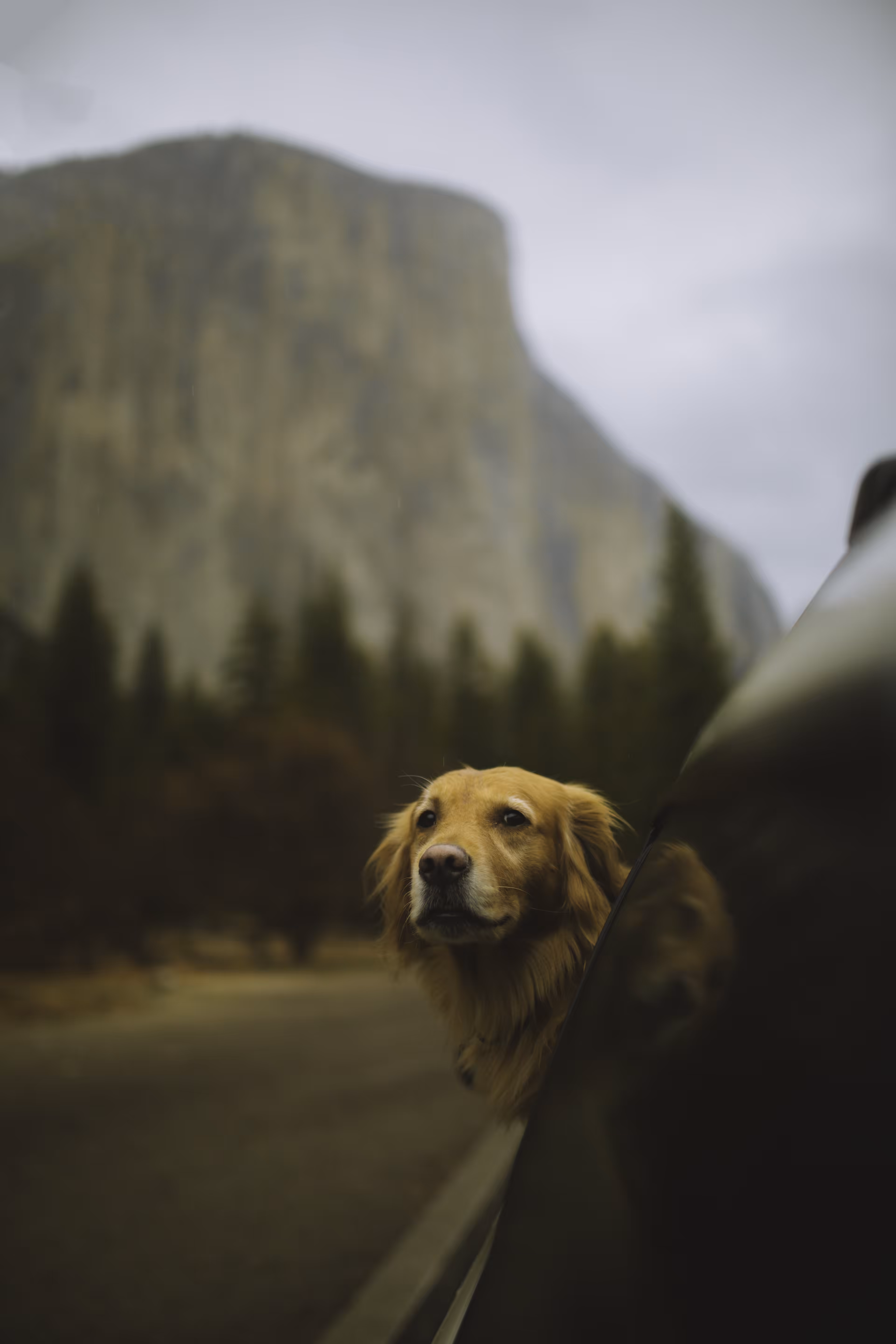 Yosemite Memory