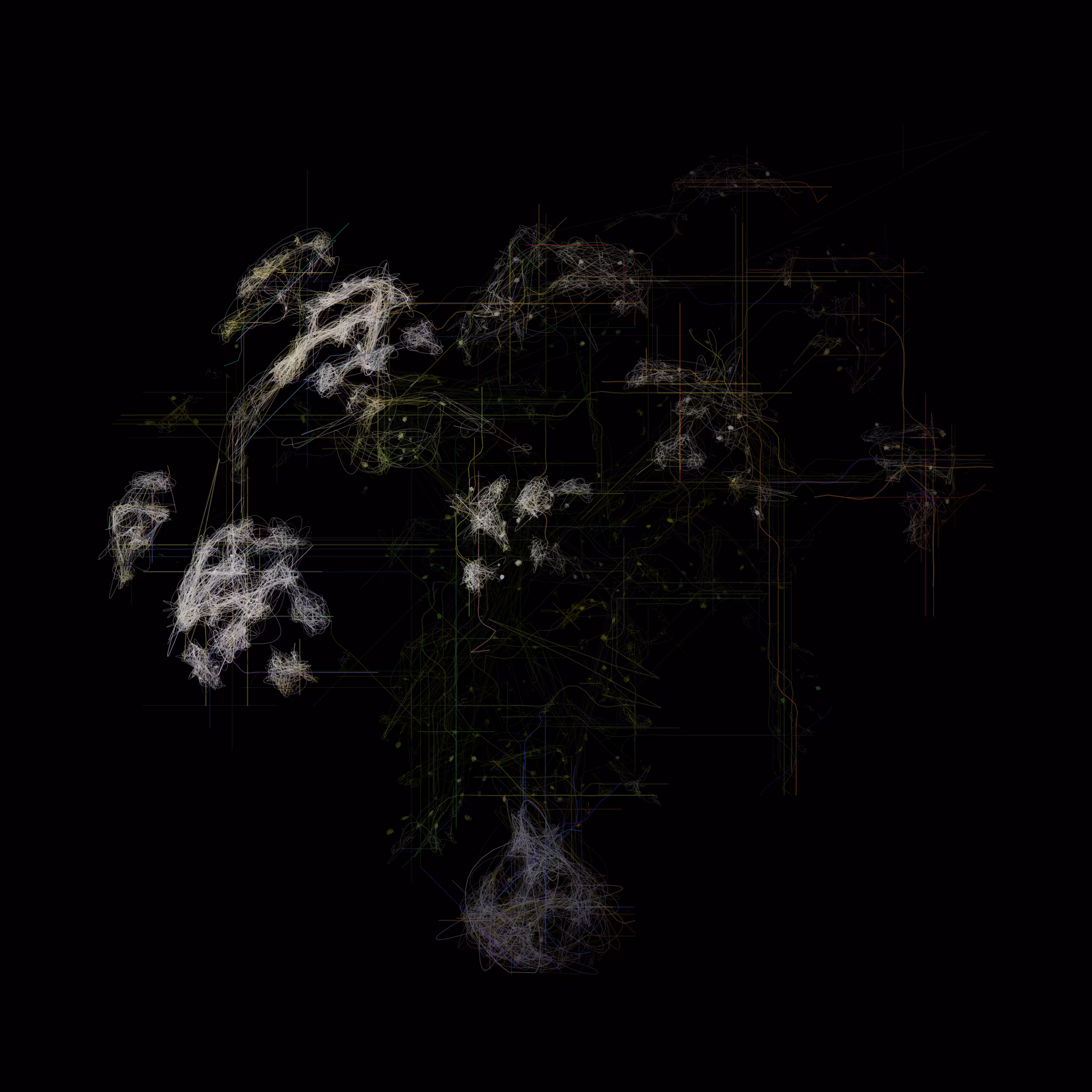 Queen Anne's Lace I
