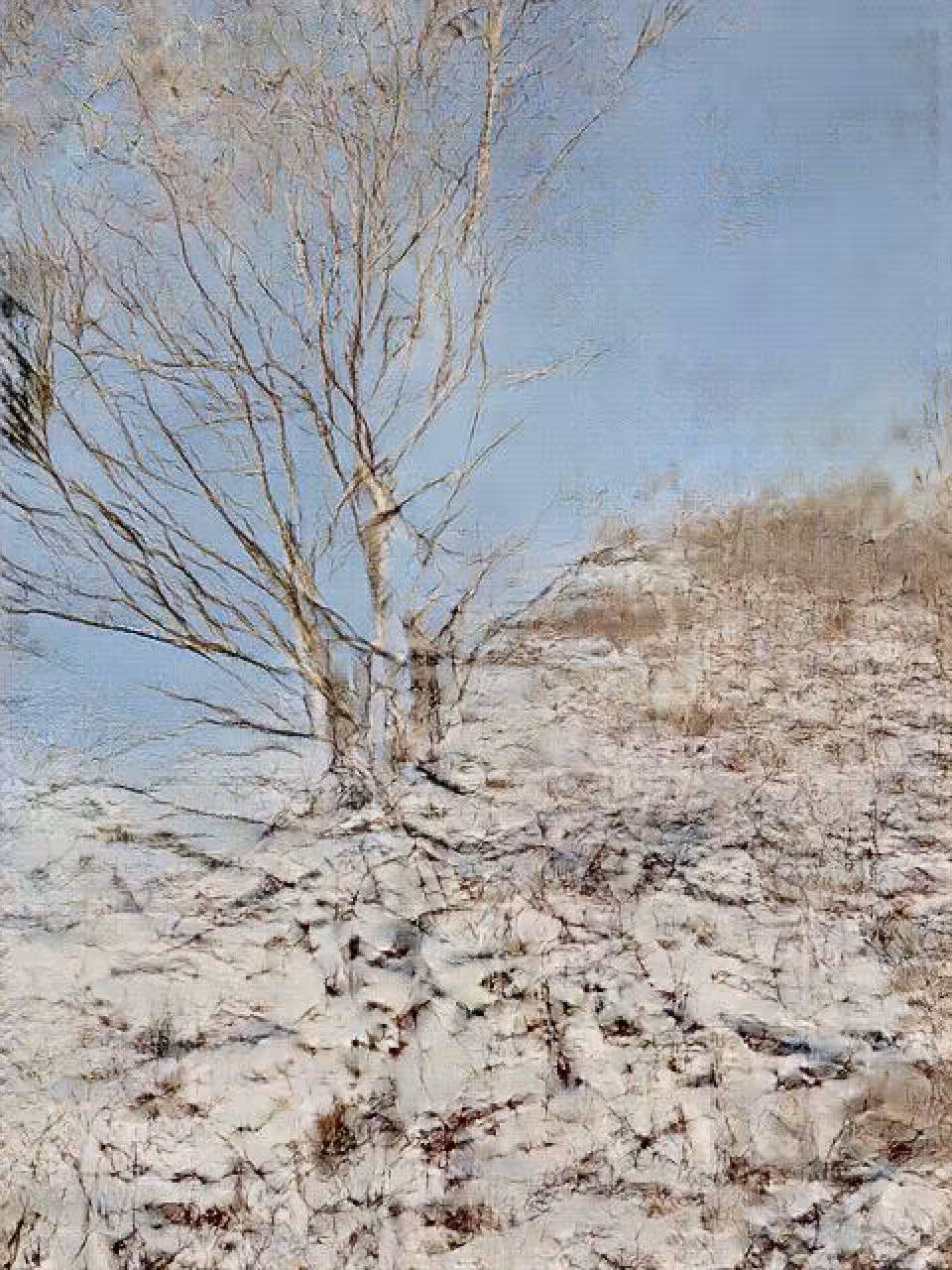 Learning Nature (b60a,3605,15)
