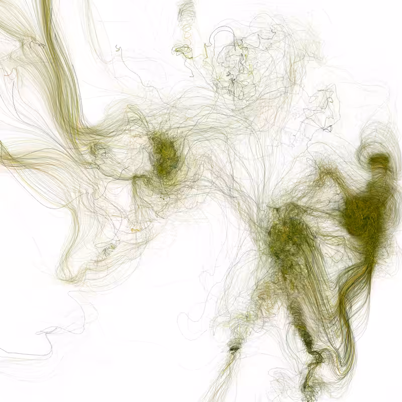 Hypericum #174