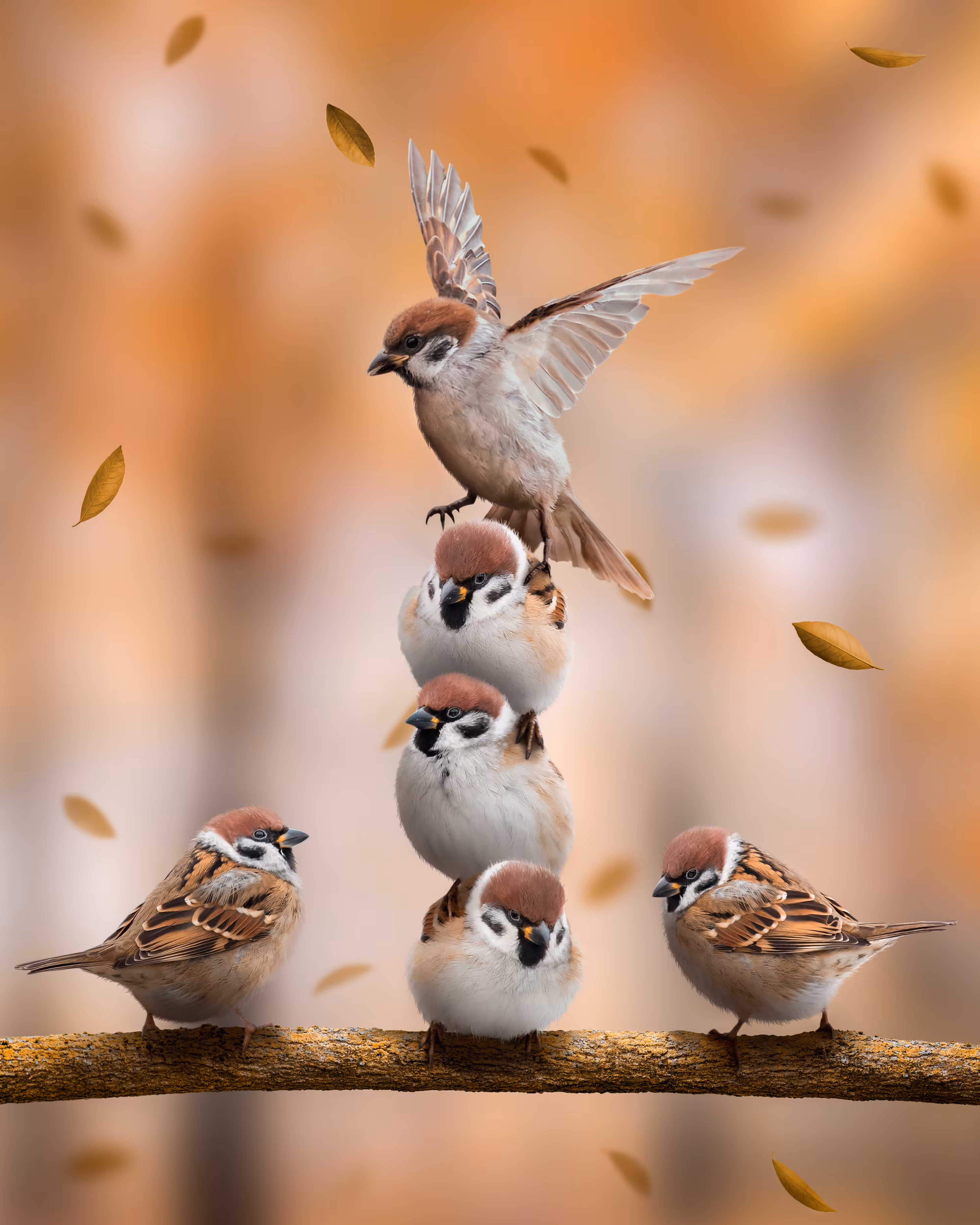 Sparrow Jenga
