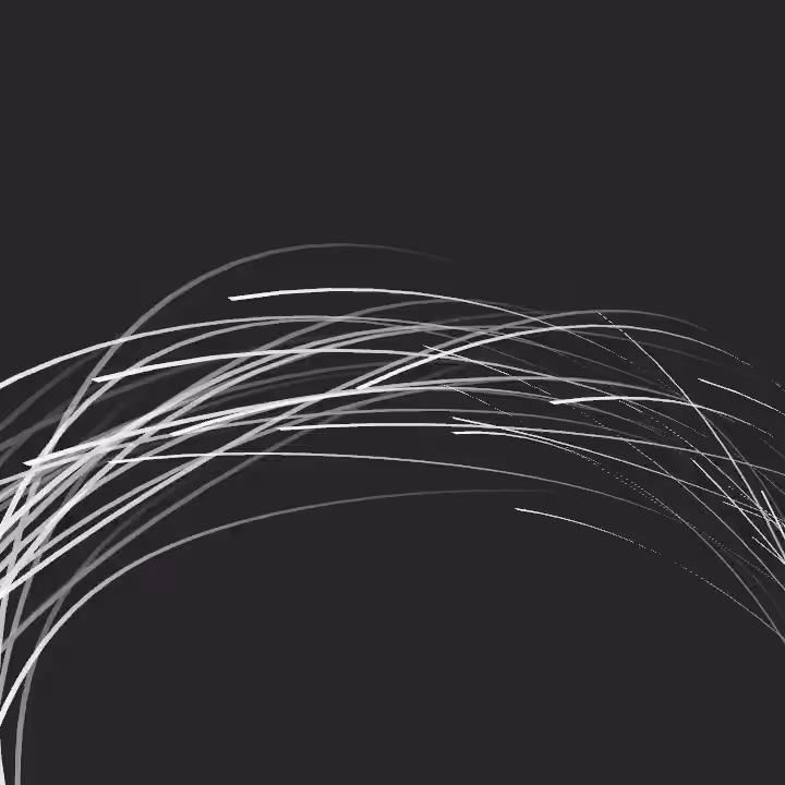 DoodleDeProgramming_20250110
