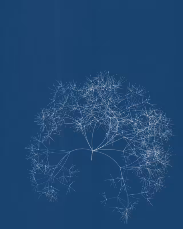 Cyanotypes #207
