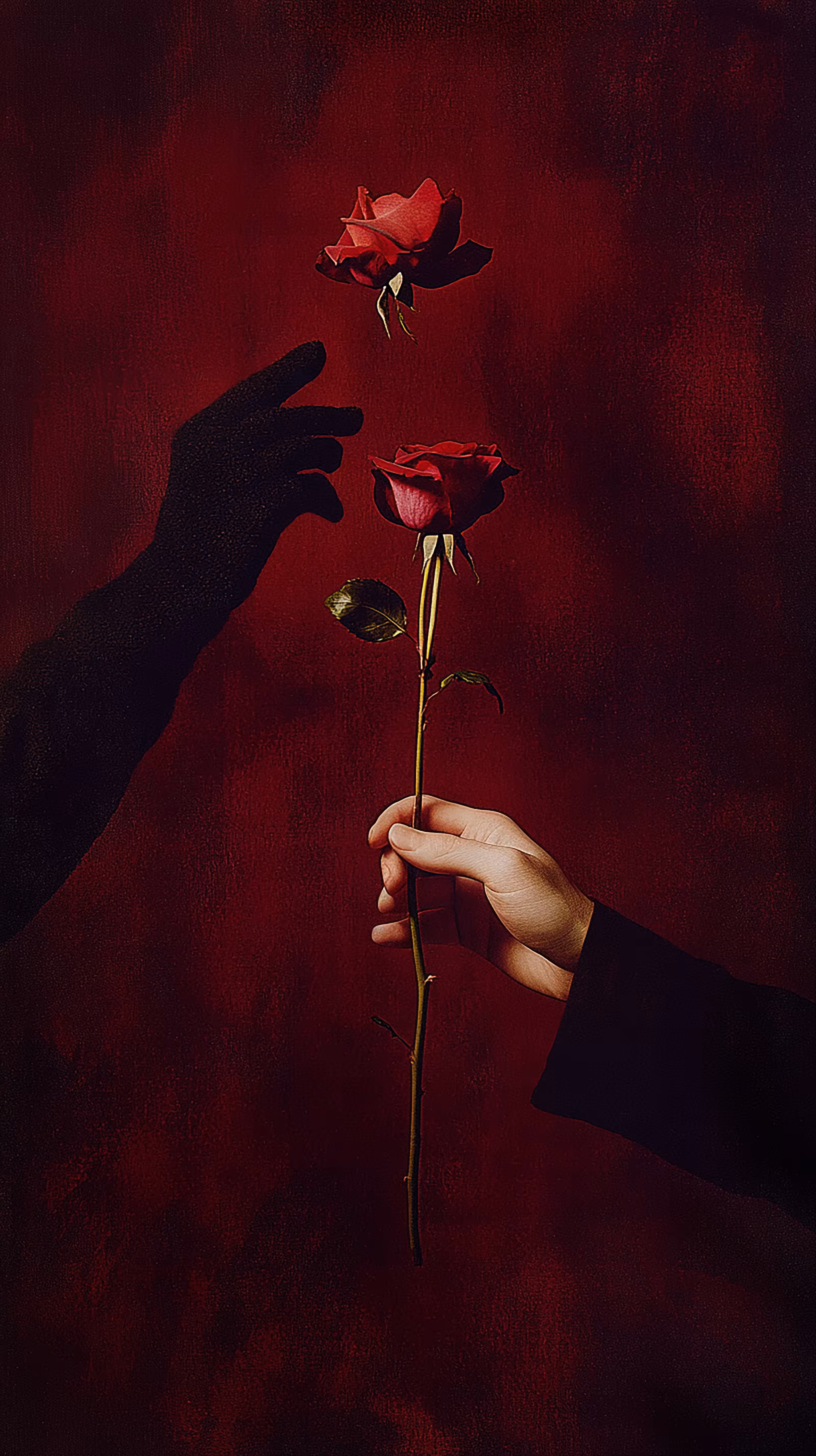 Collection: Soul of a flower