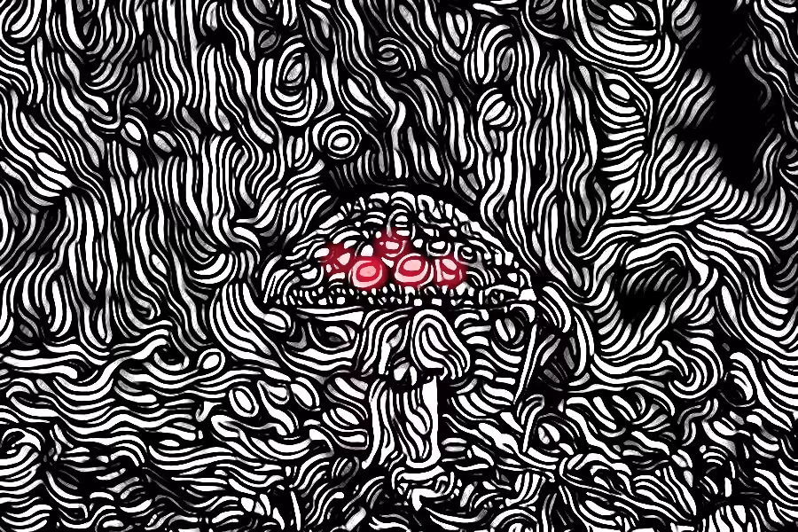 Shroom