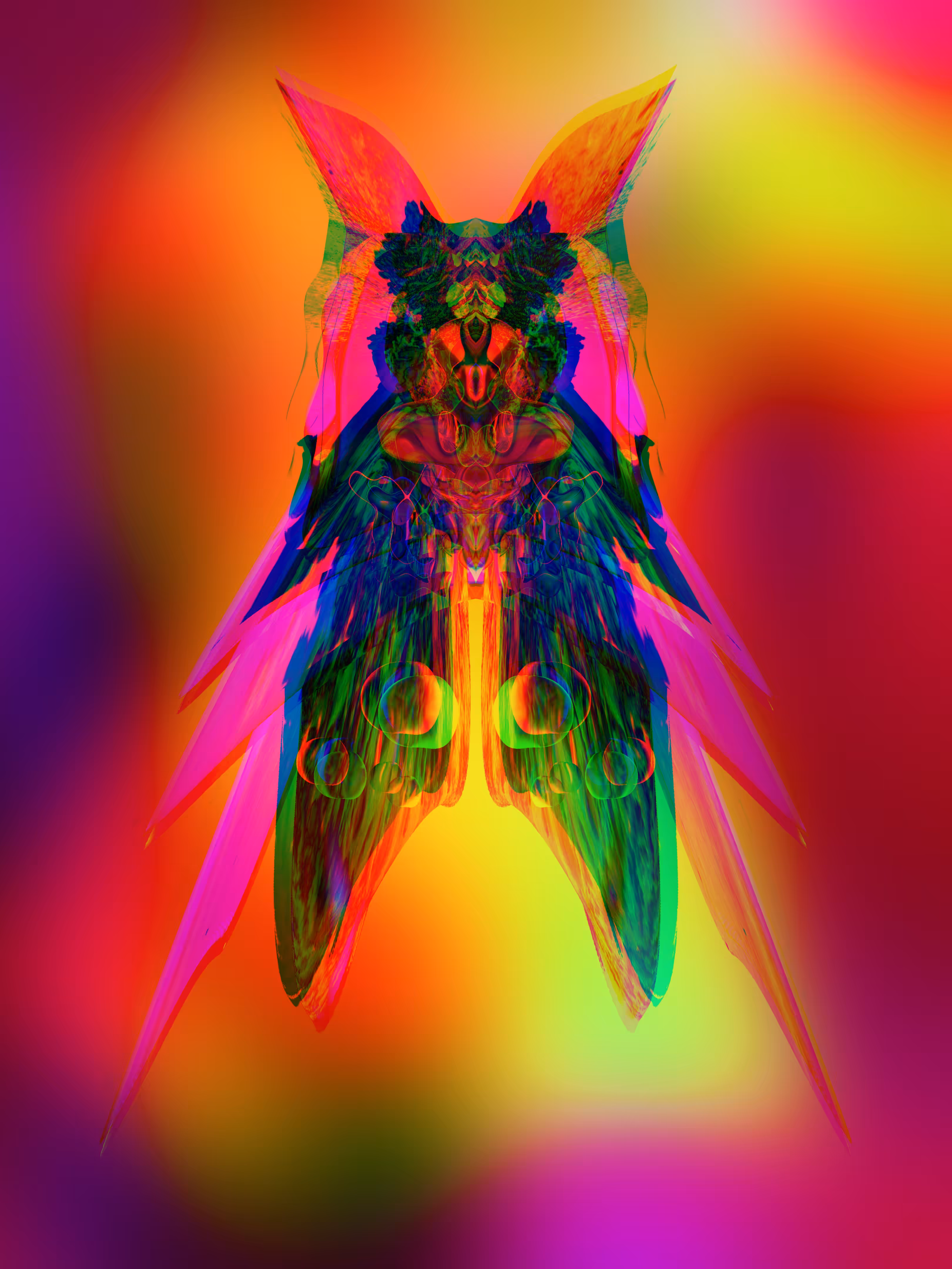 D1z 100Randomz 002 Infra Fly