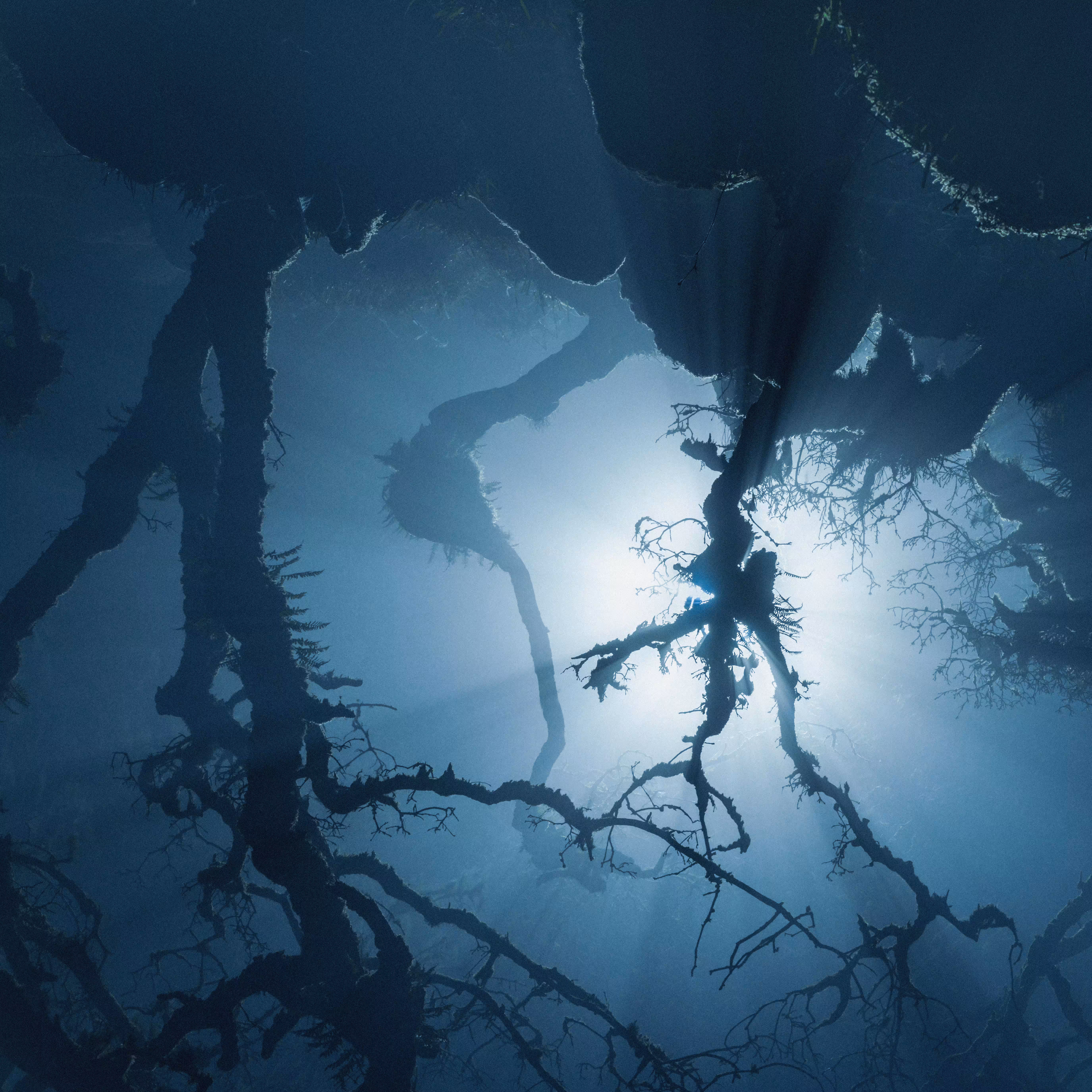 The Upside Down II