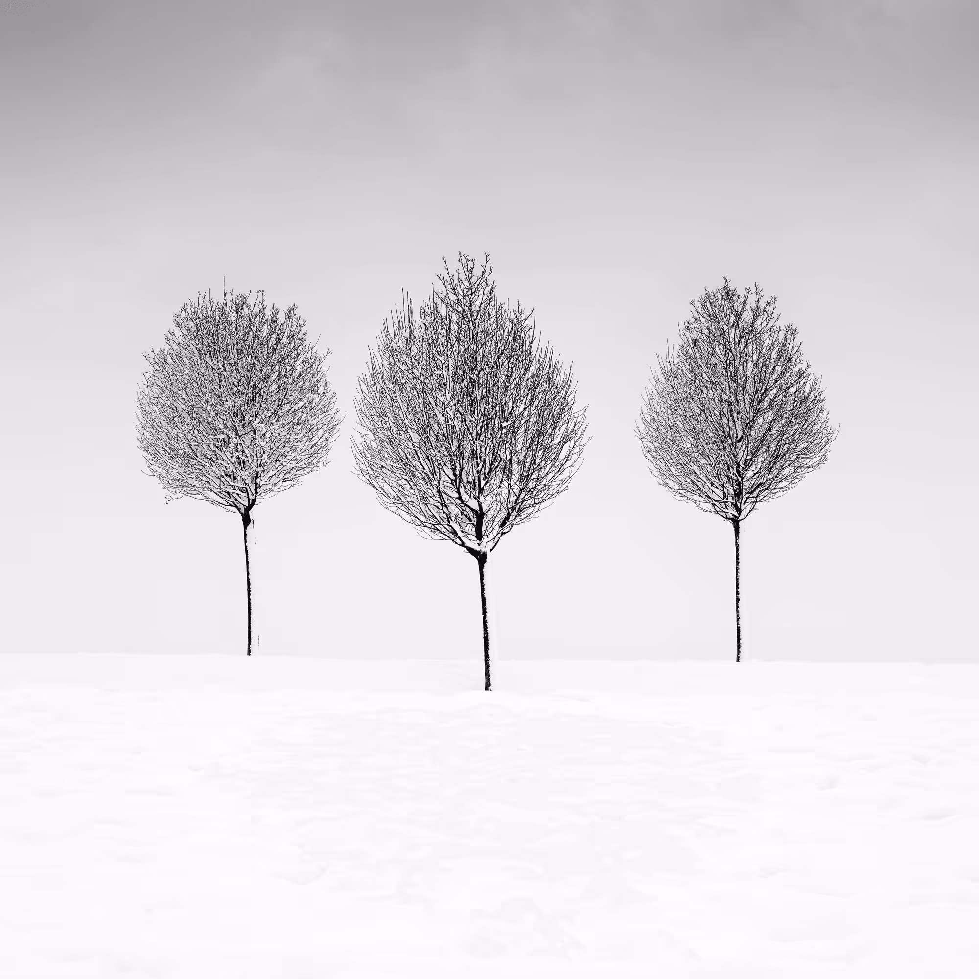Sound of Silence #7