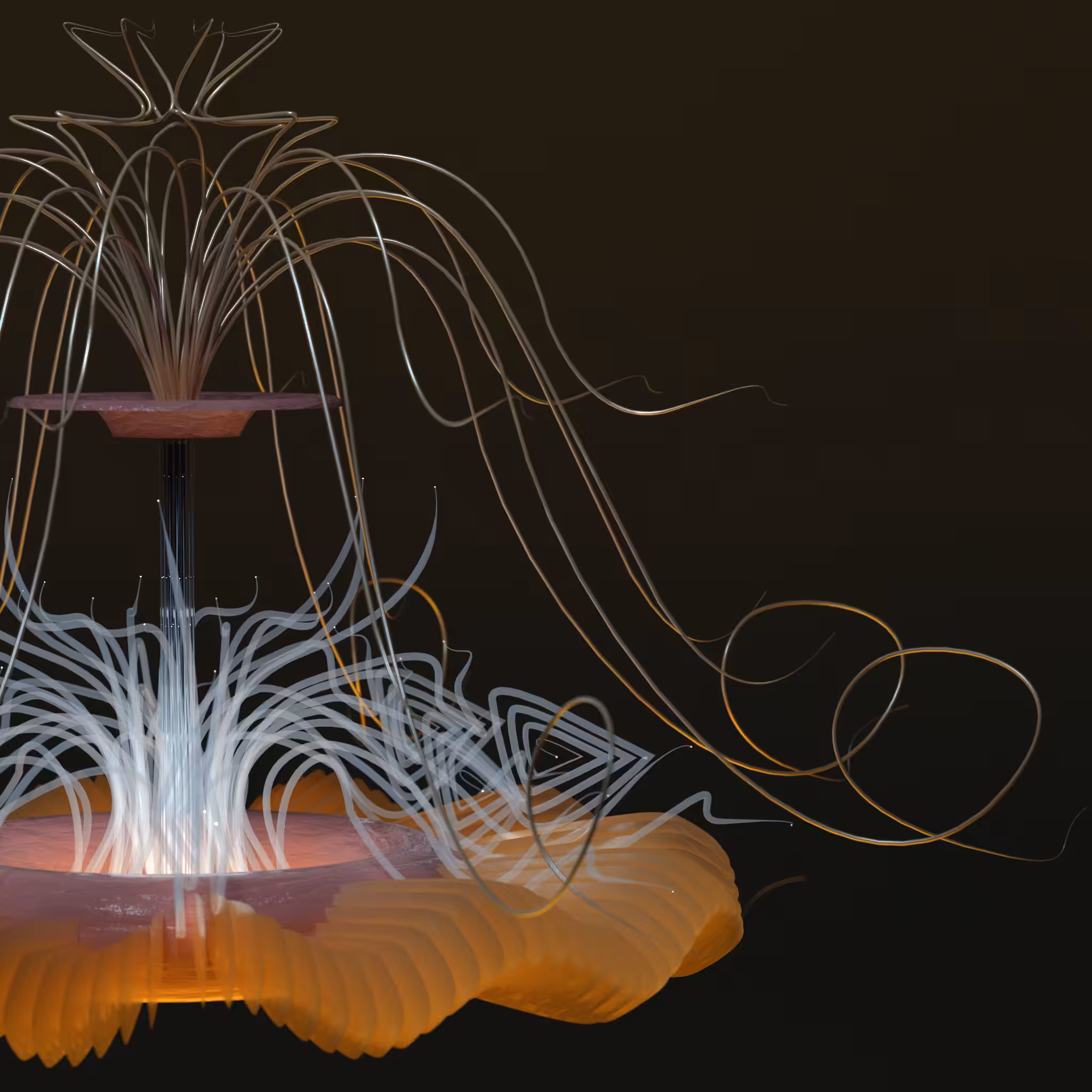 Vitrium