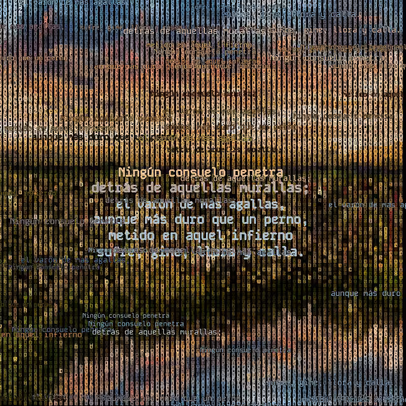 A hacker in the Pampas #126