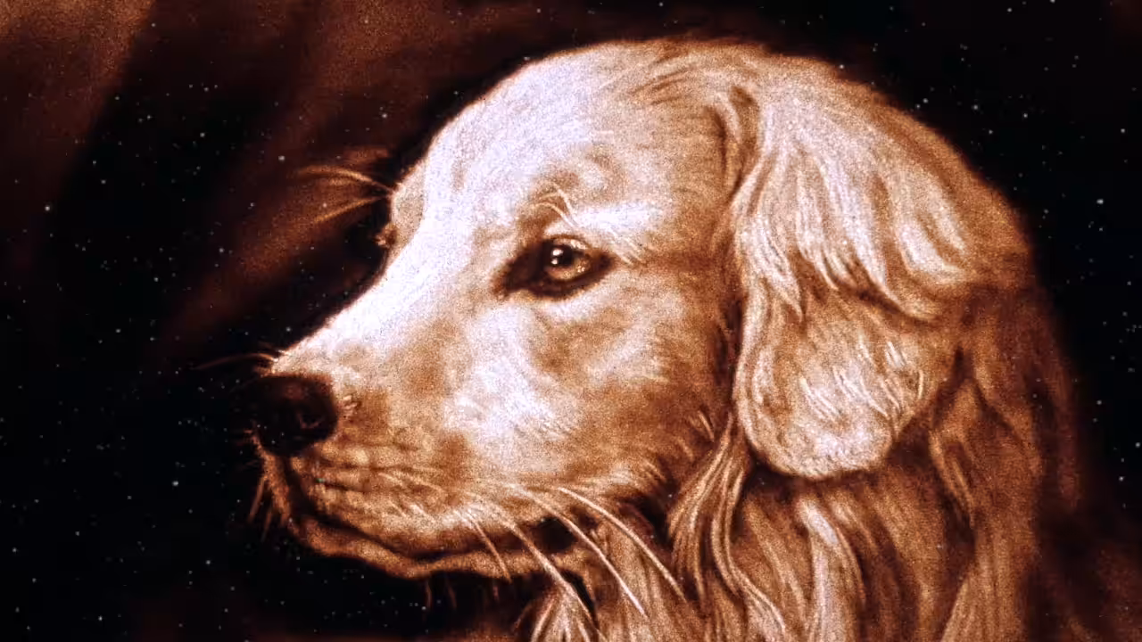 Golden Retriever resembling an angel