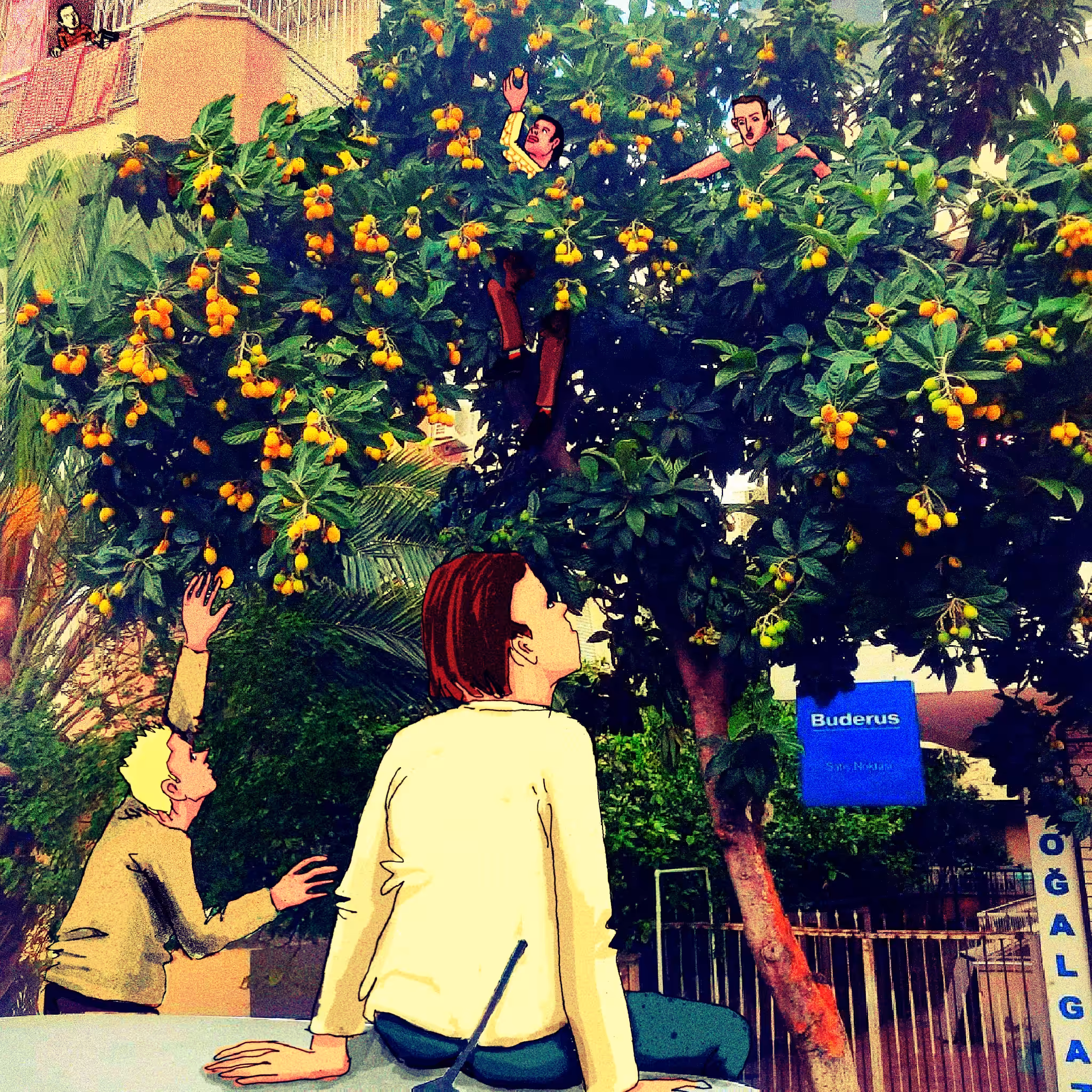 steal fruit