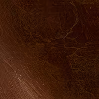 Tile [19, 10] - Into