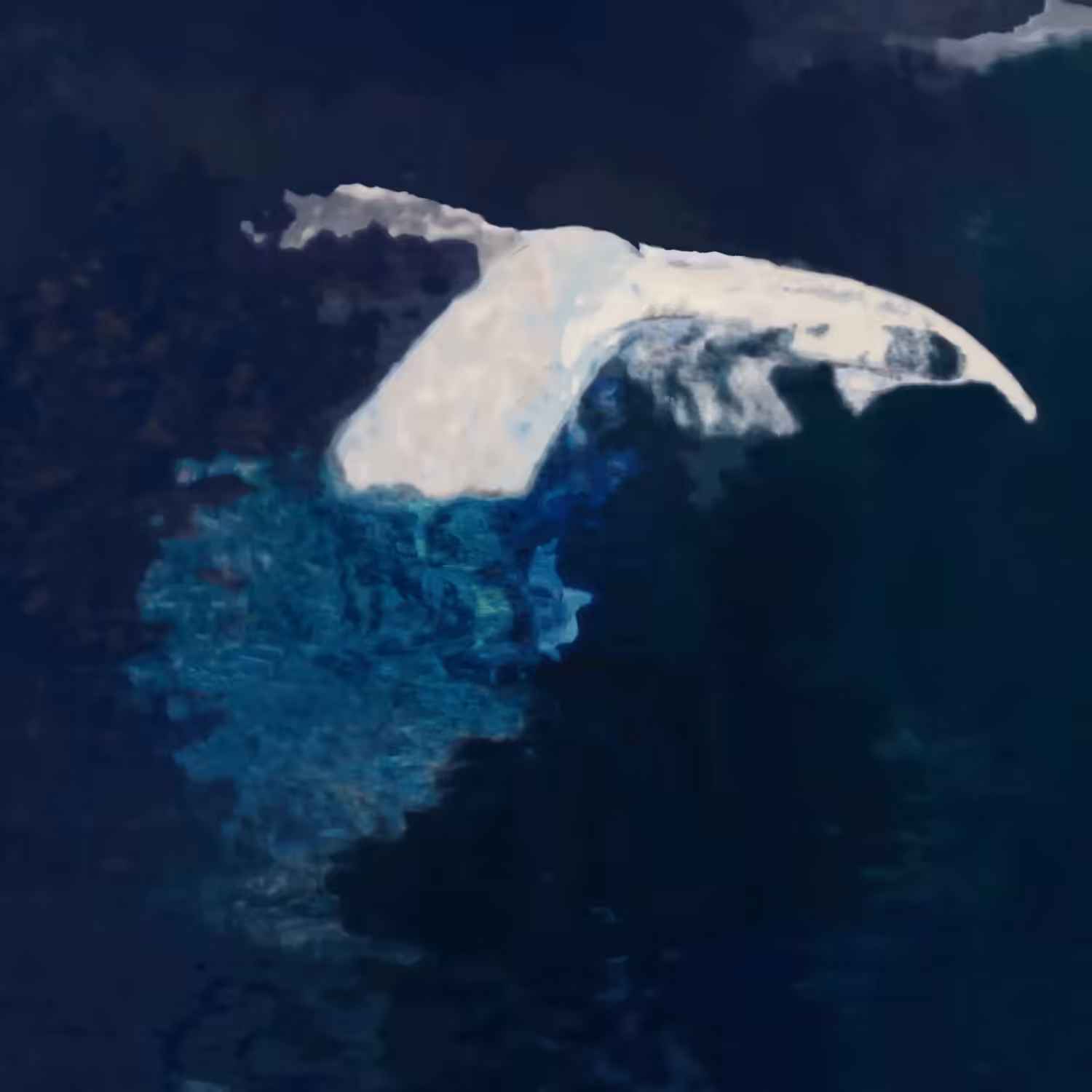 Migaloo Diving