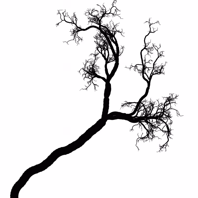 Tree 01 #81