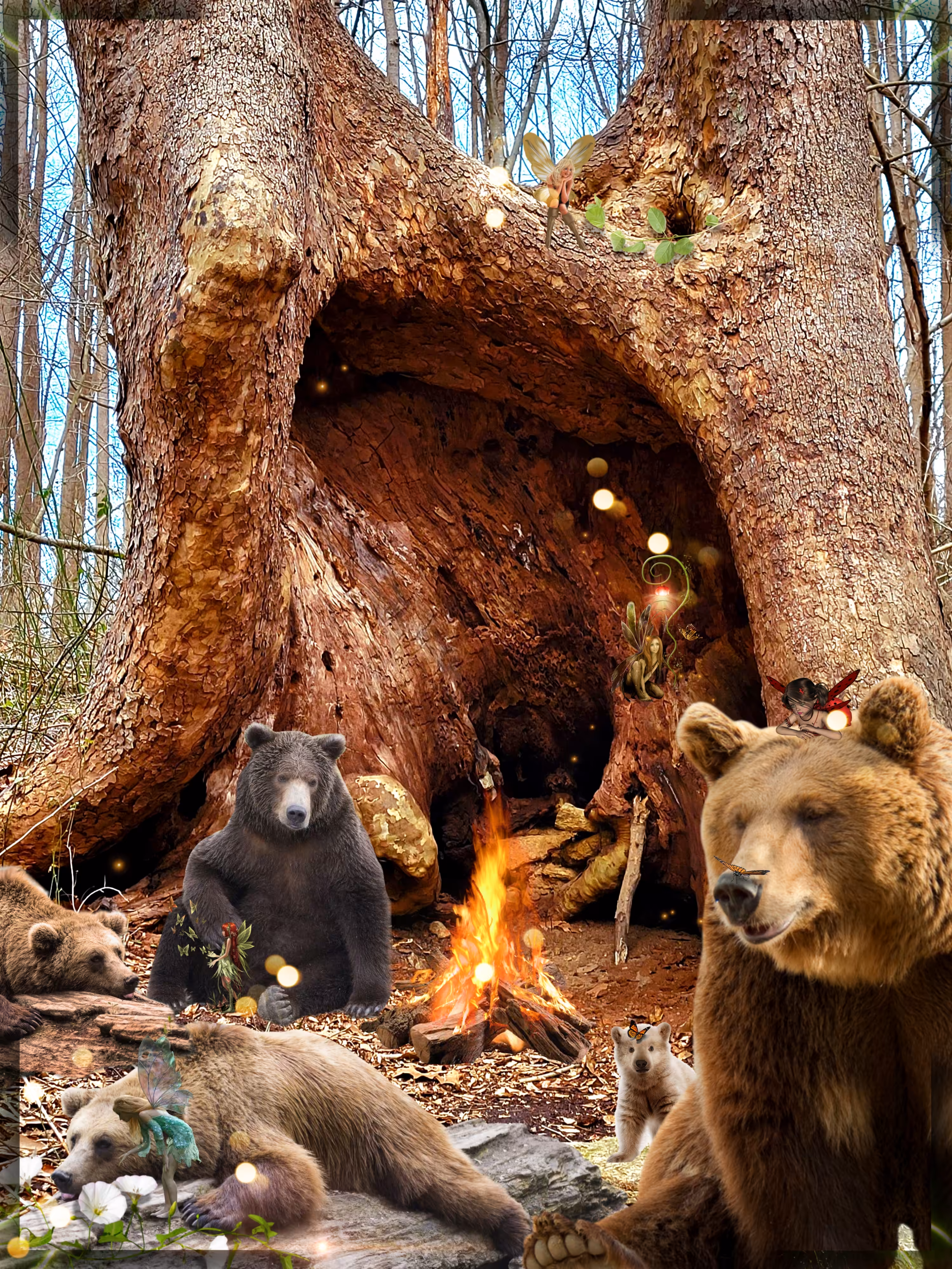 #Bearfortez - Bear Country Jamboree