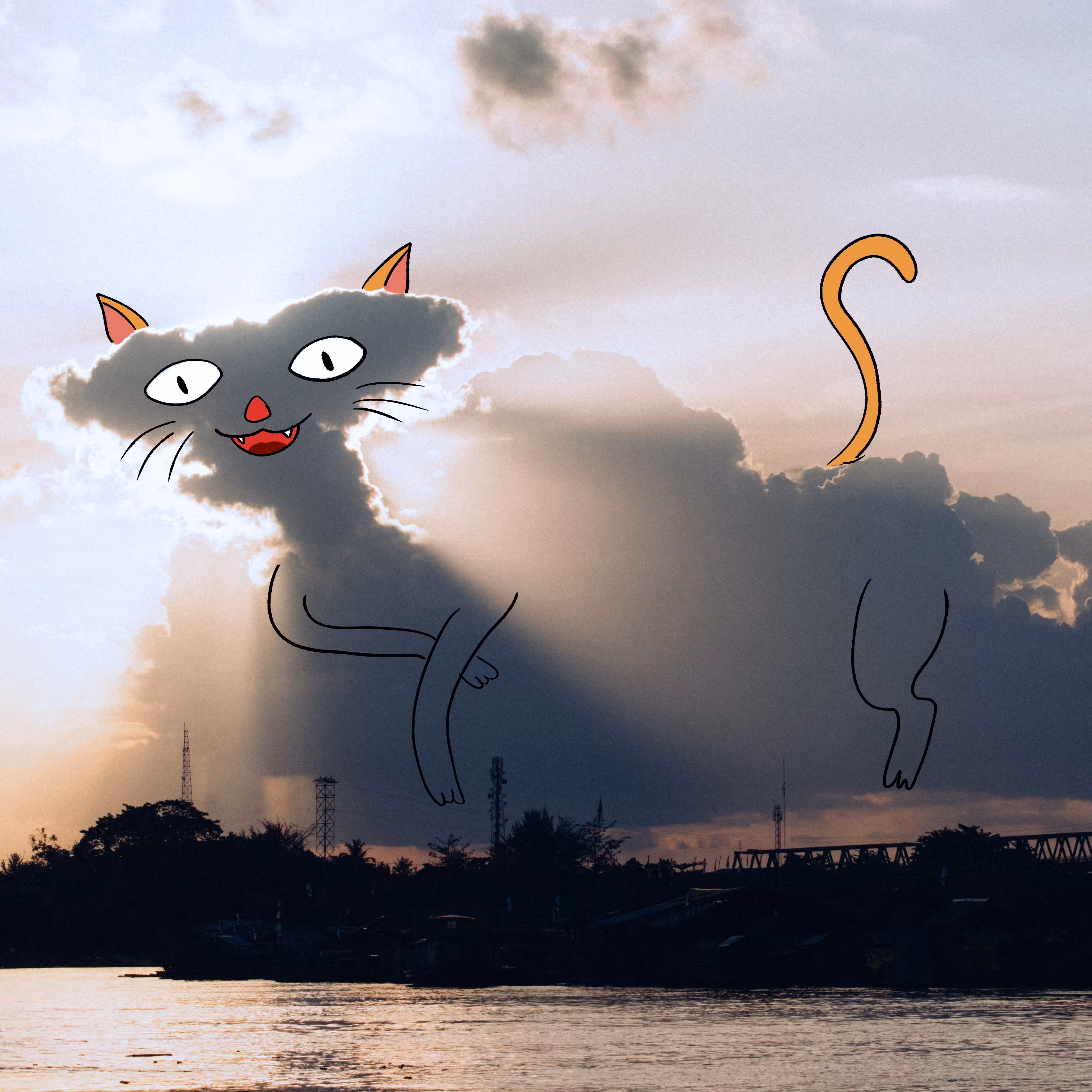 CLOUD CAT