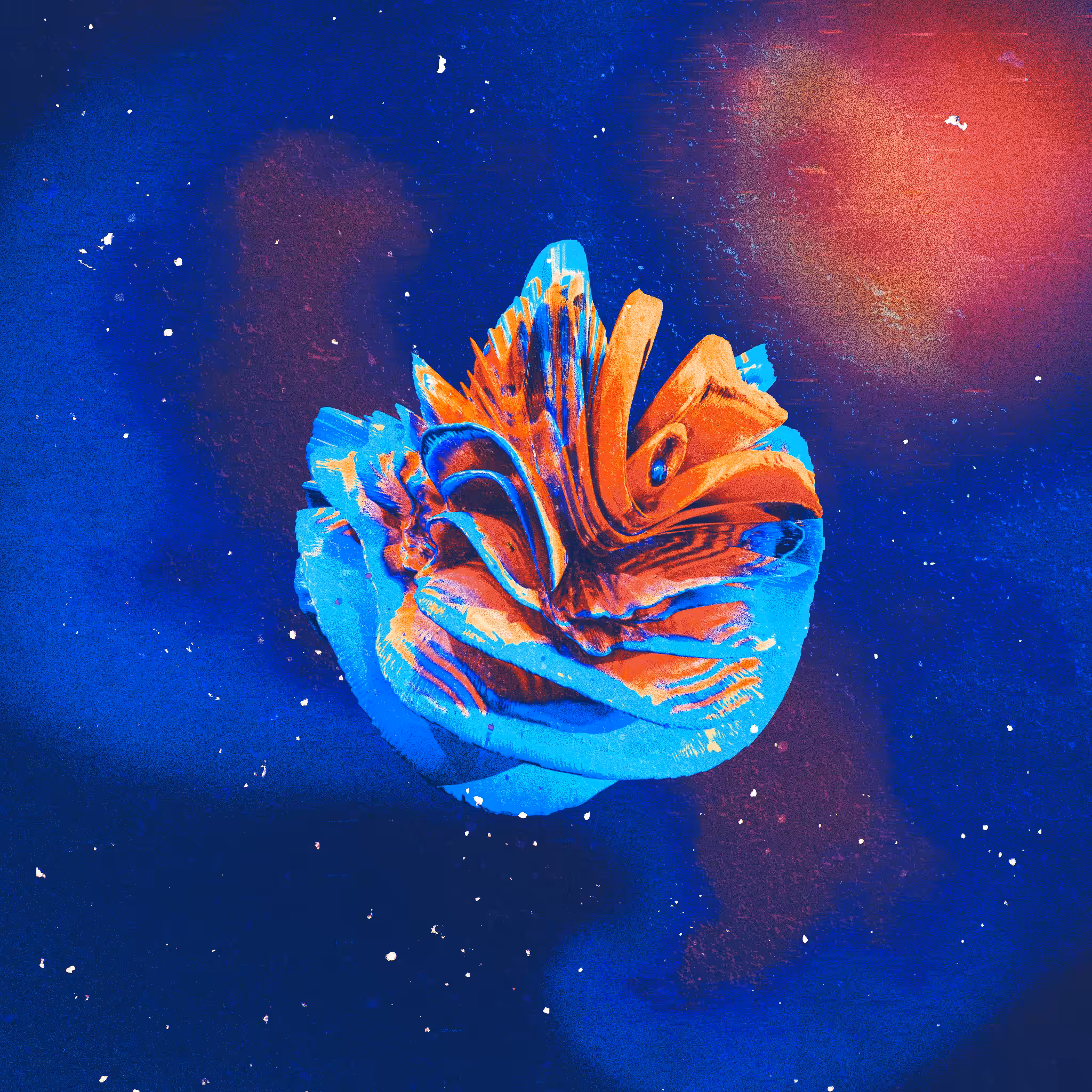 The Blue Coral Heart