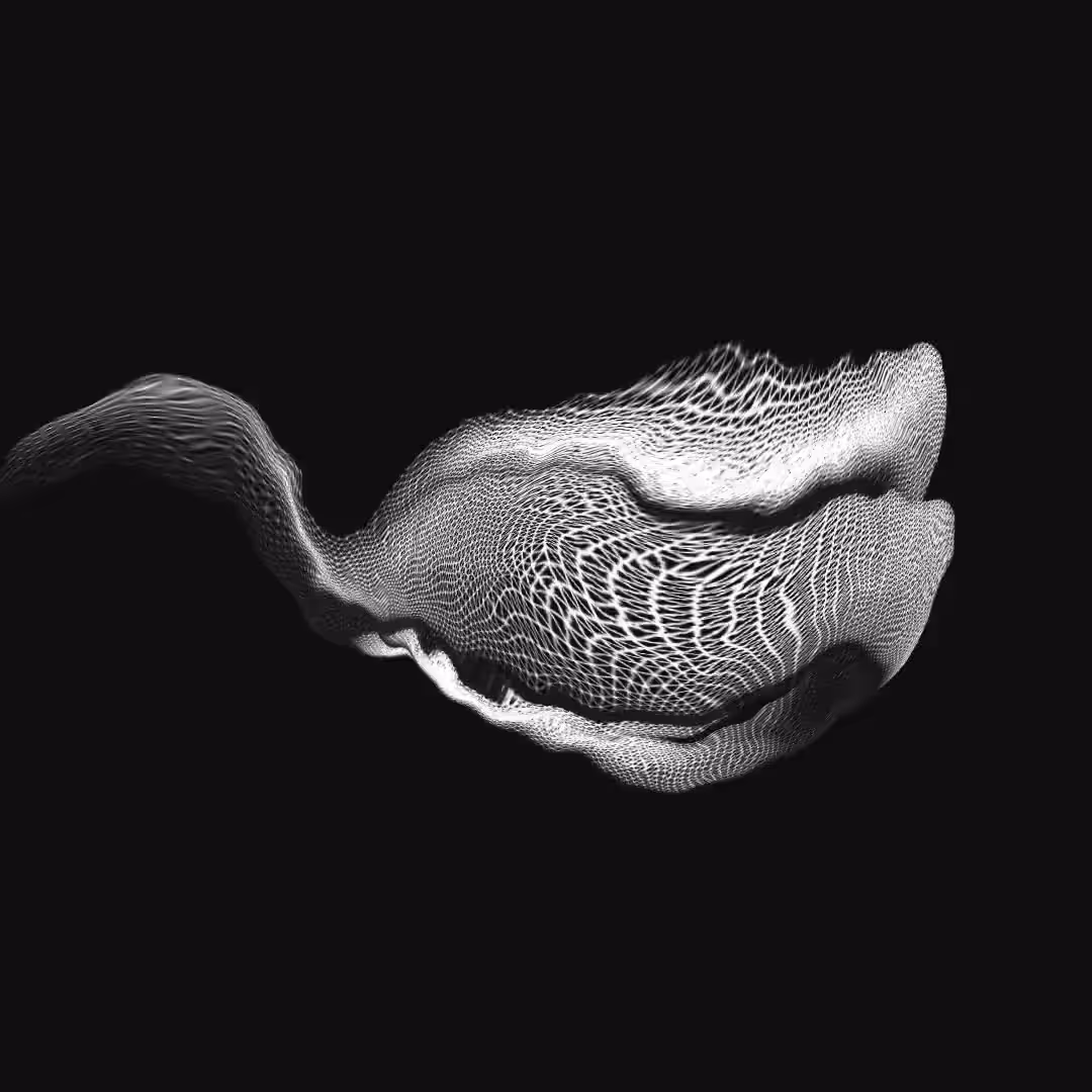 biomesh extinction