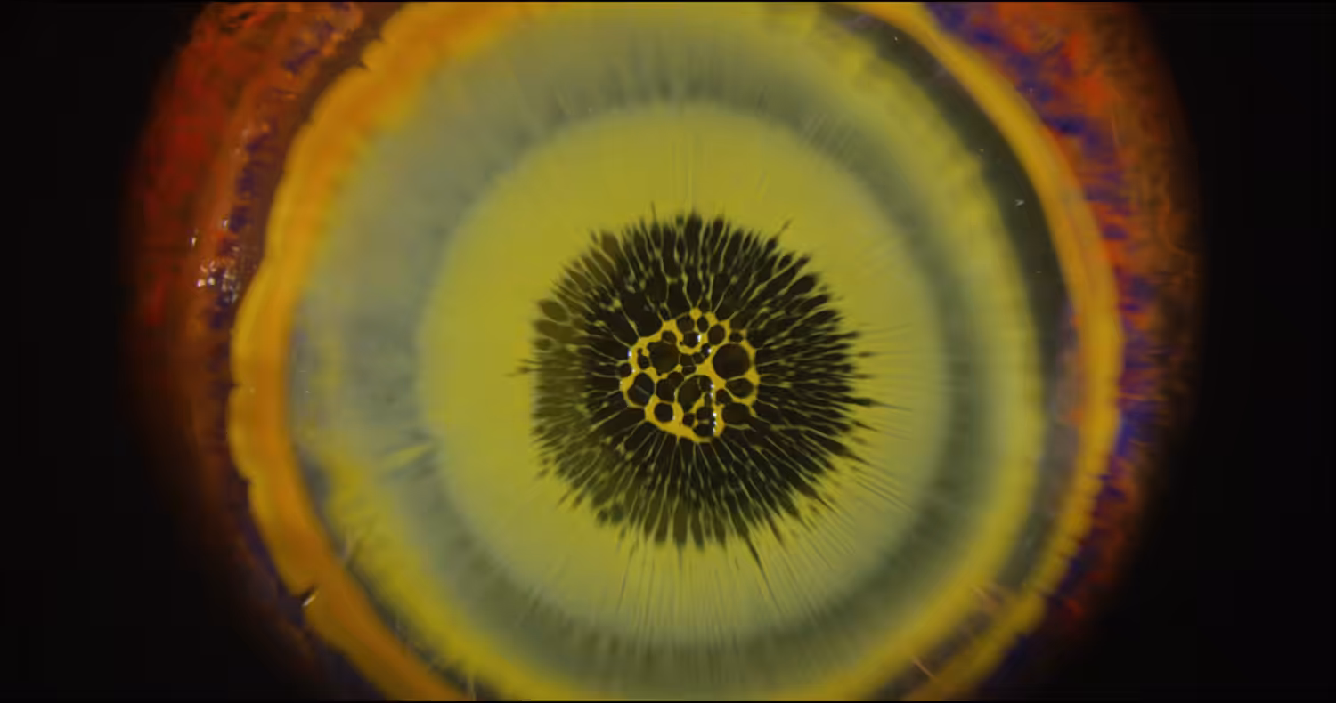 Fluid Mandala III