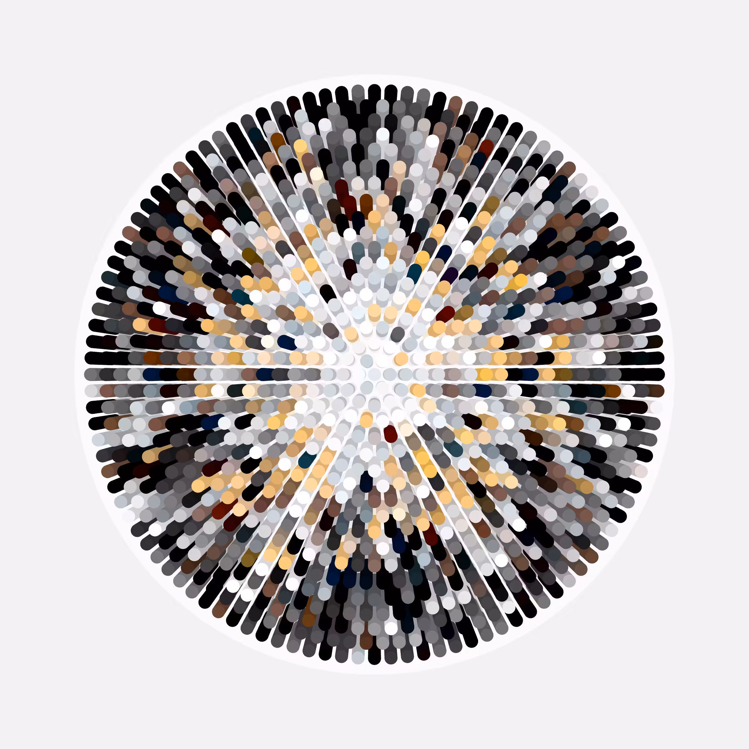 Transitions #2290