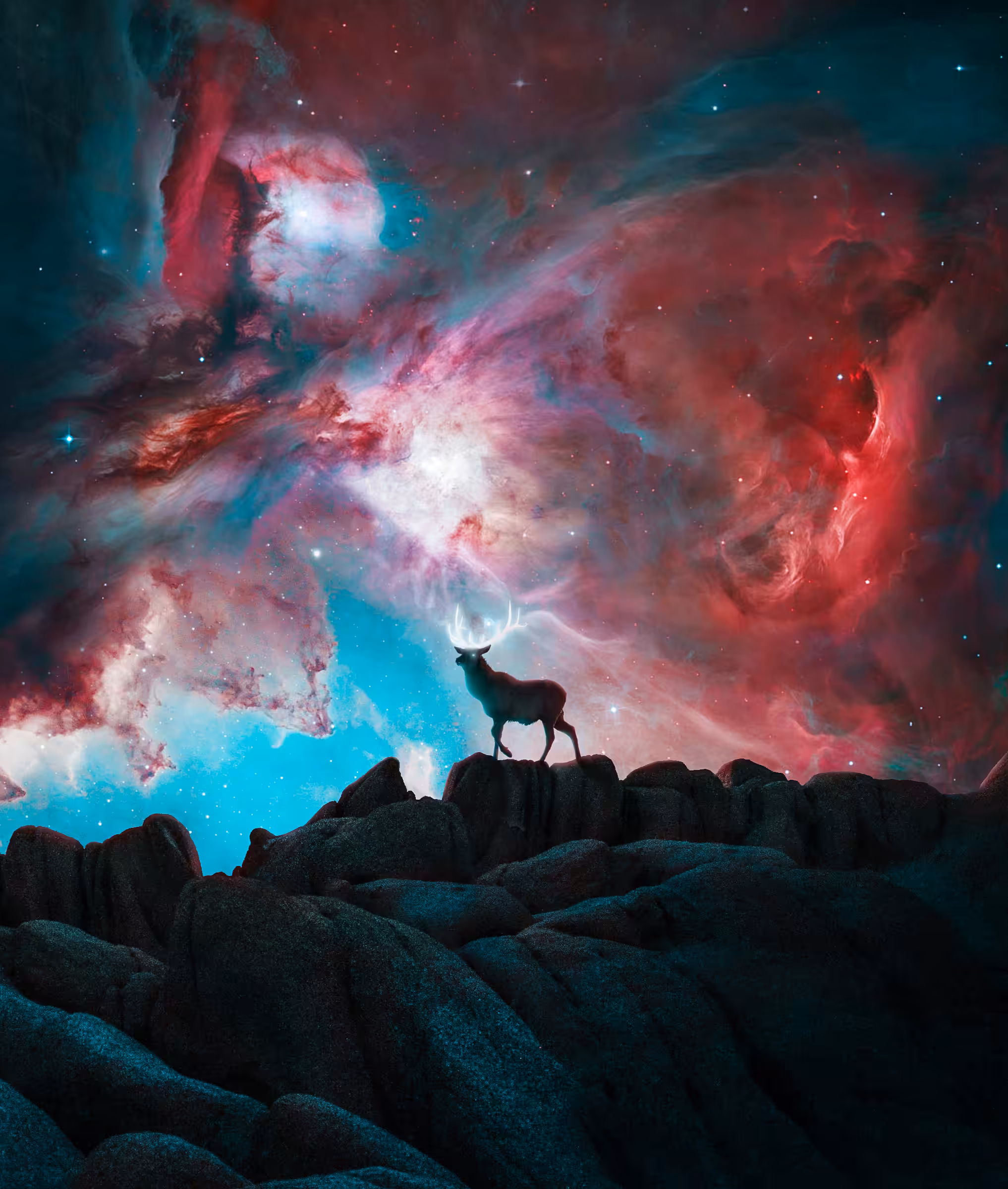 Uncharted Skies