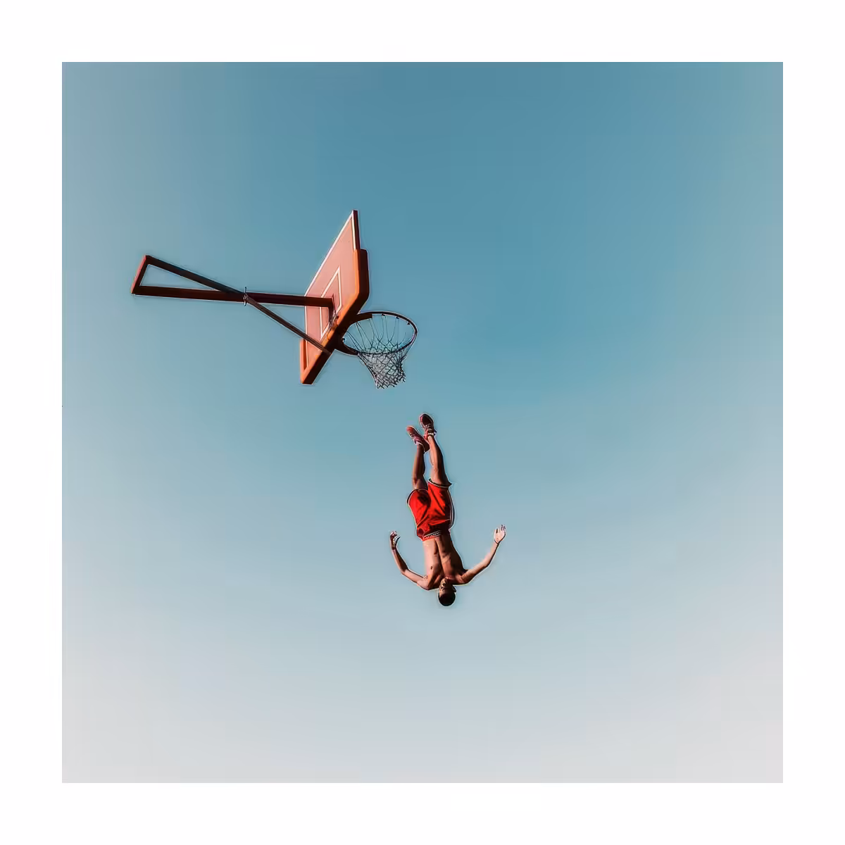 The basket - VII