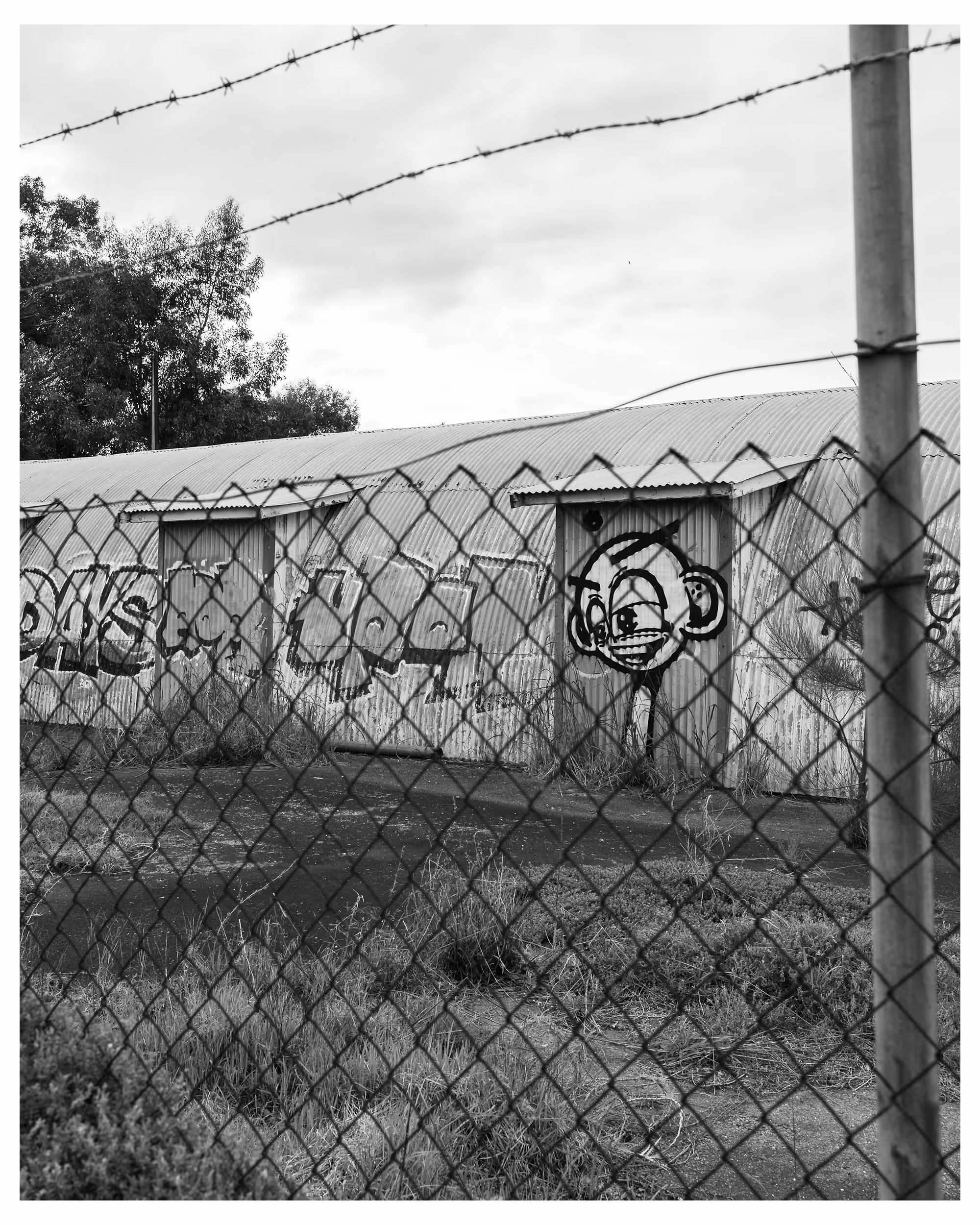 graffitied dreams 6 part 2
