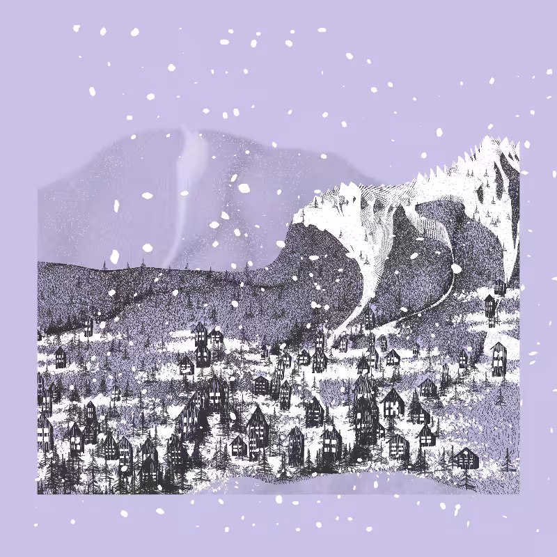 White Mountain Winter #83