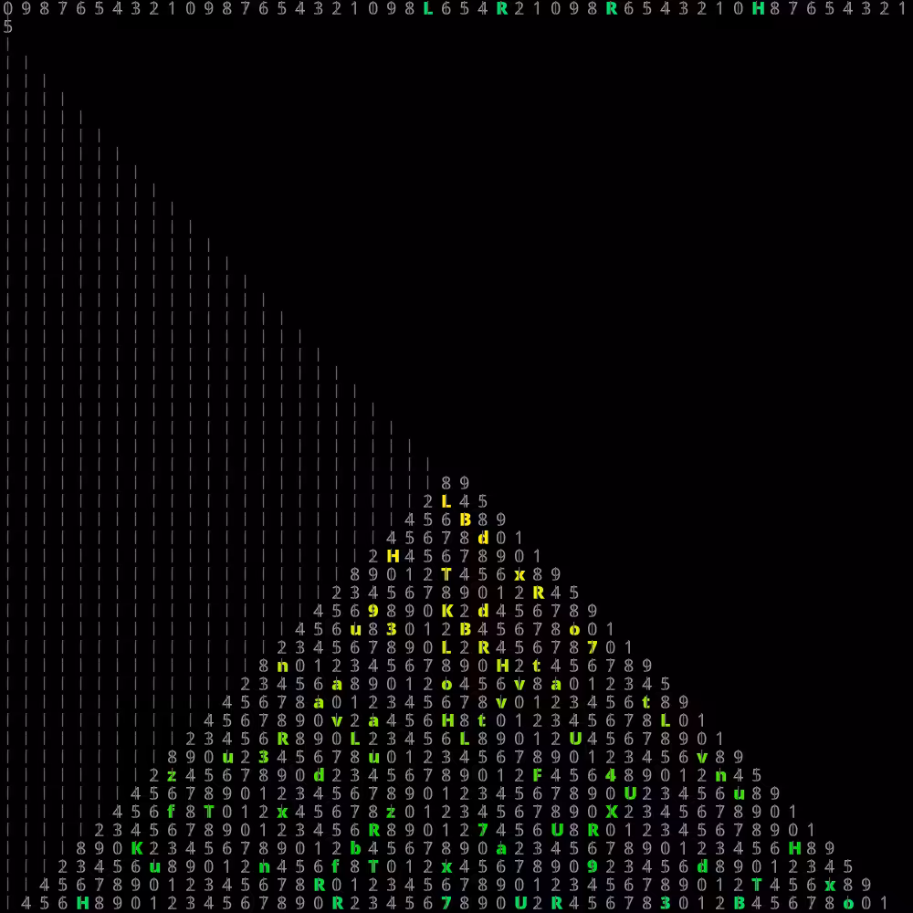 USCII #46