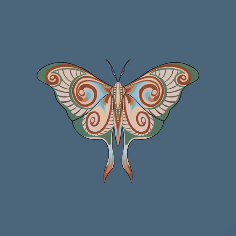 The Moth Experiment 2.0 P2 #2