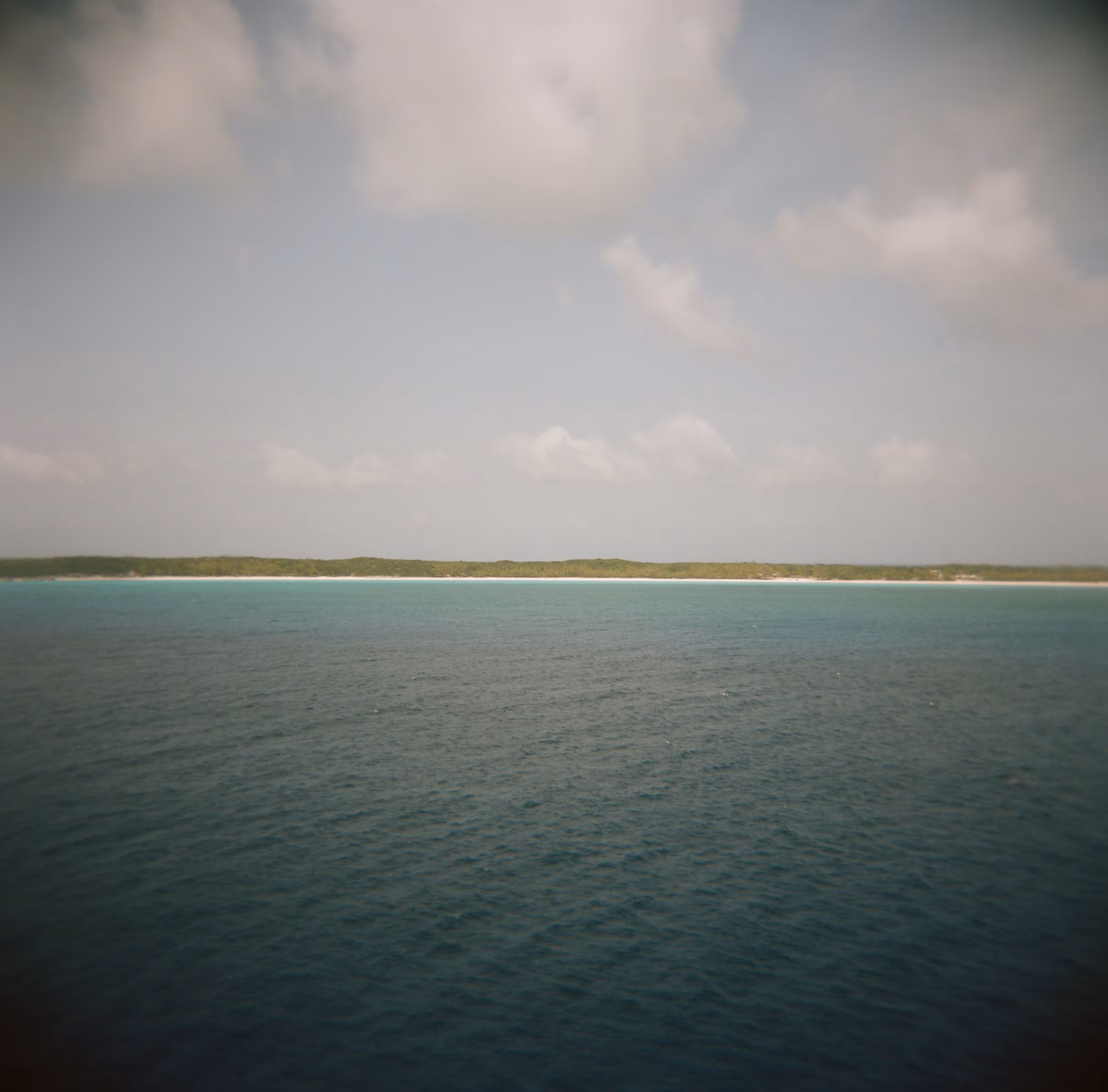 holga no. 8