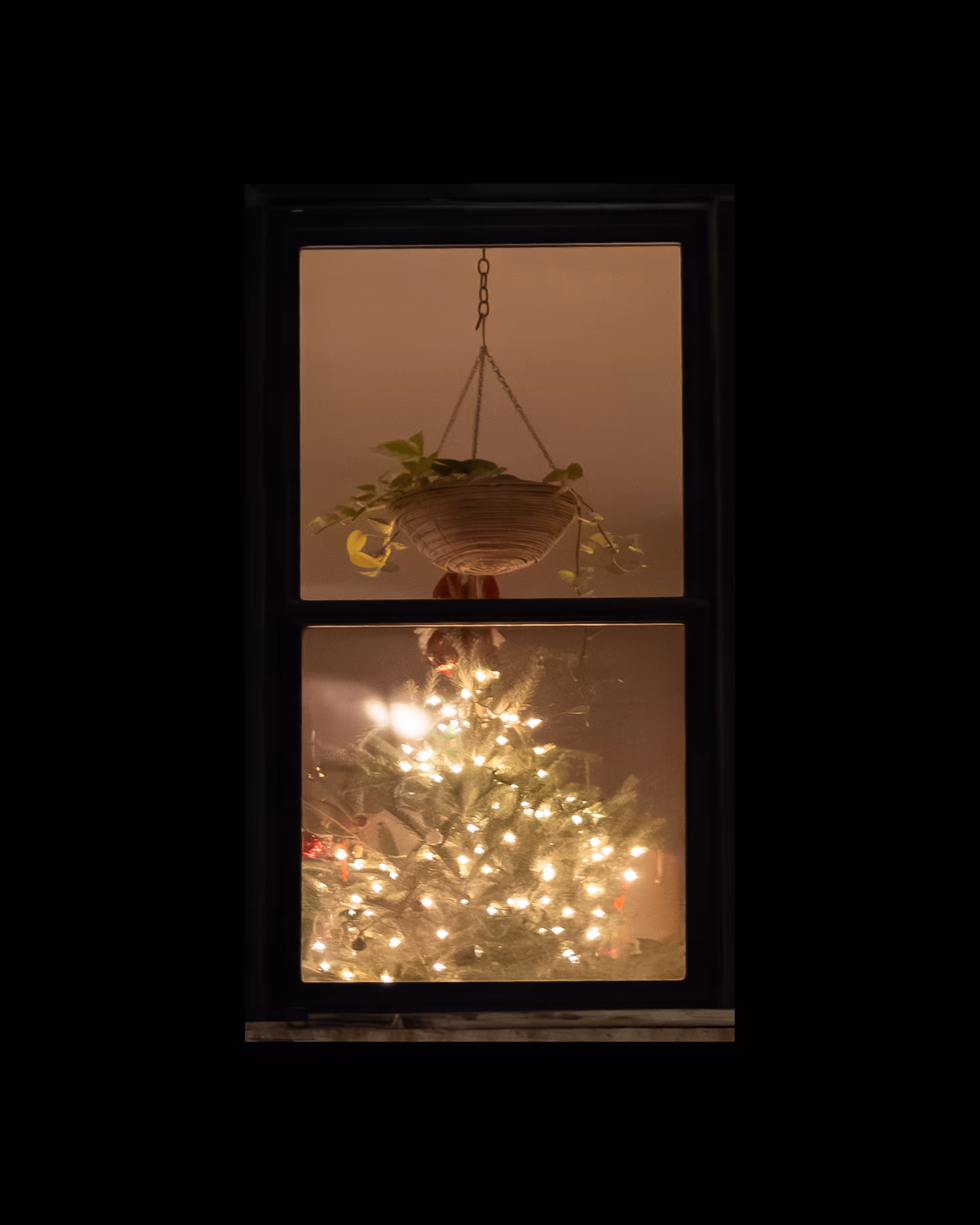 WINDOWS // NYC: WINDOW 573