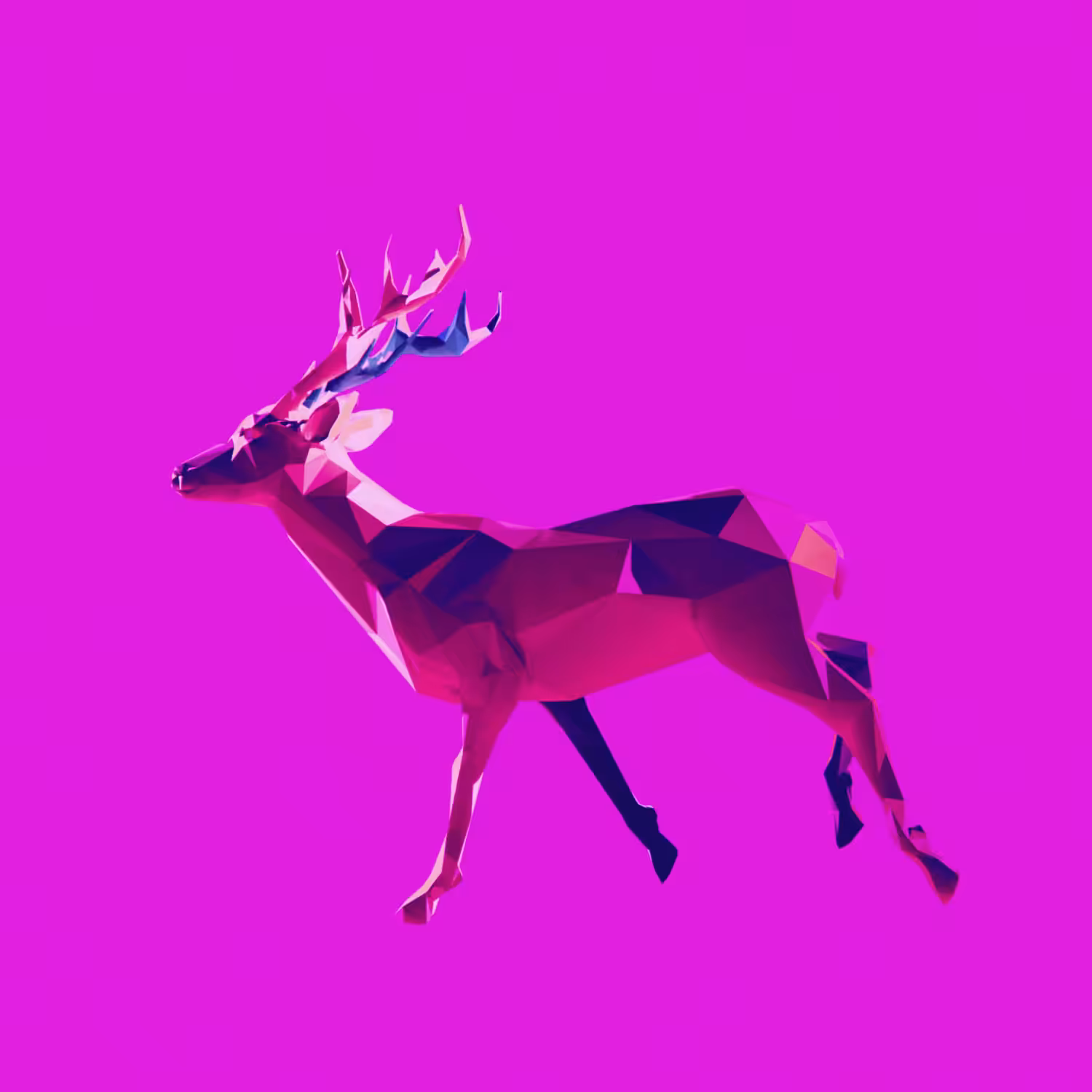 The running deer