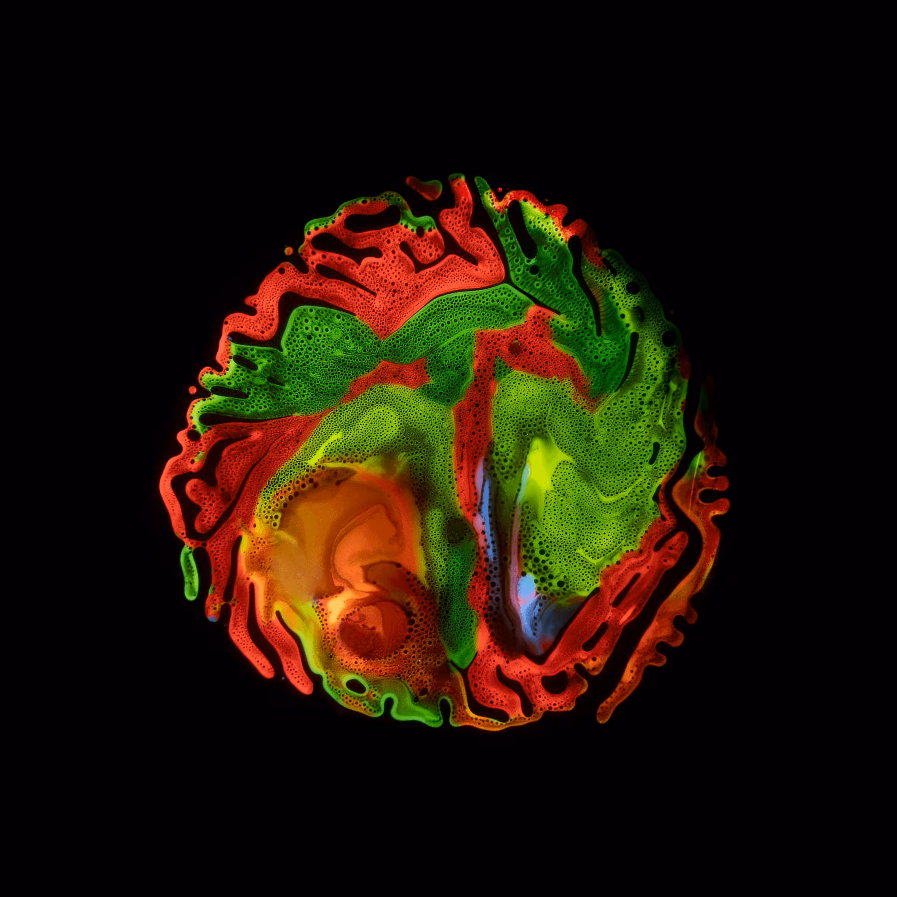 Haematopoiesis #11