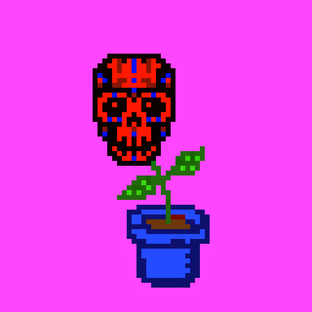 Skull Pot Gang 1 (3)