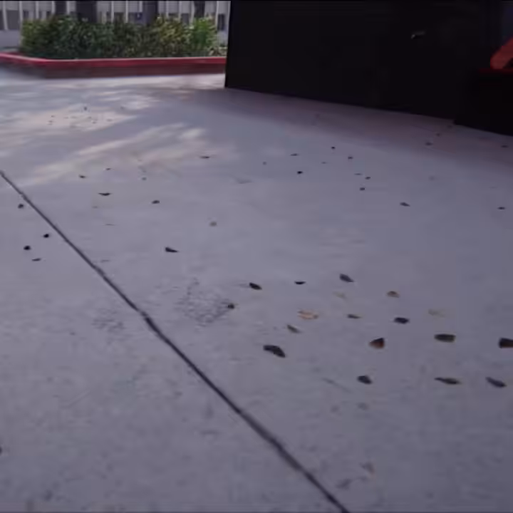 Nick Tucker in Skater XL