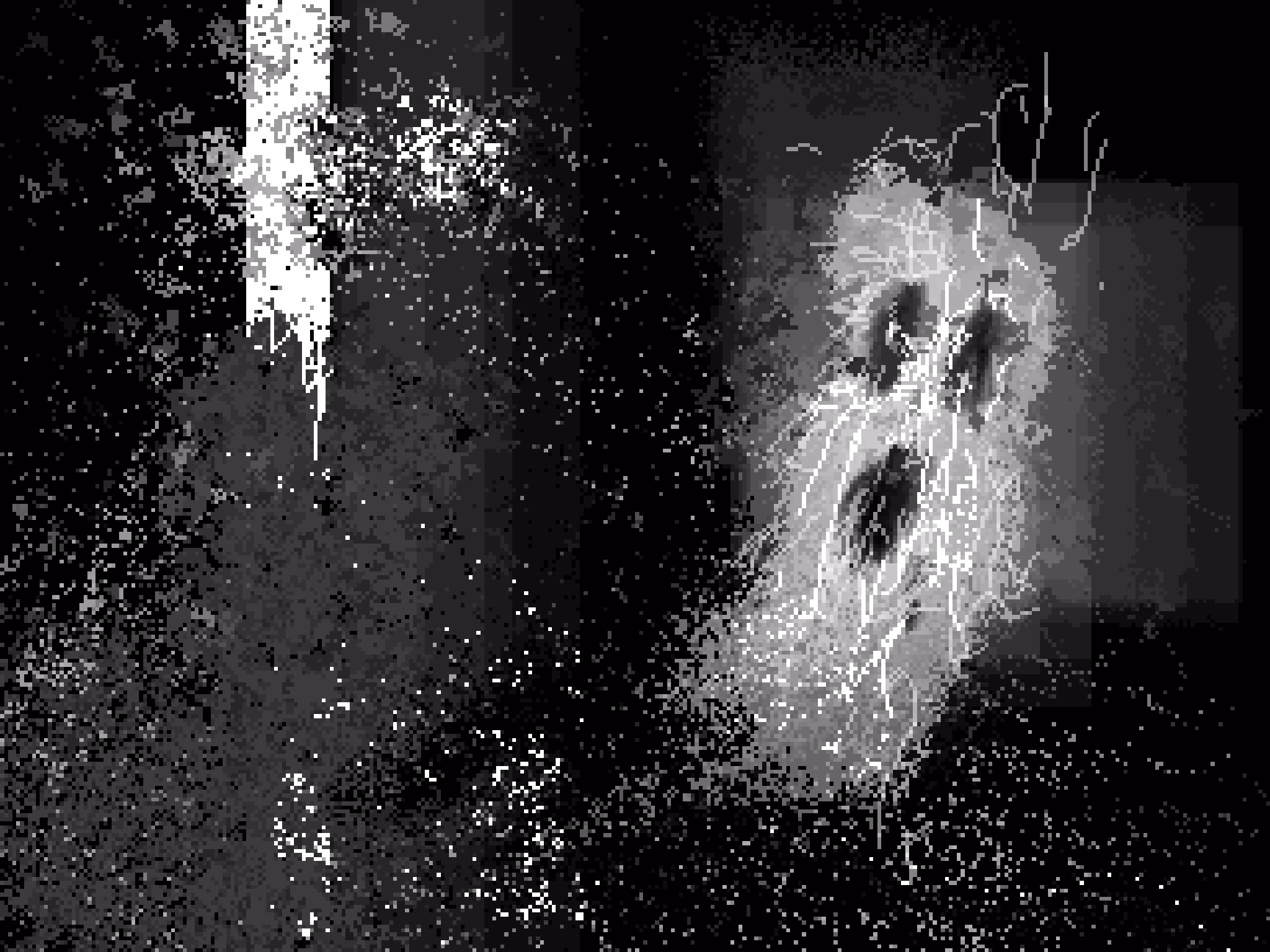 Spooked Spirit