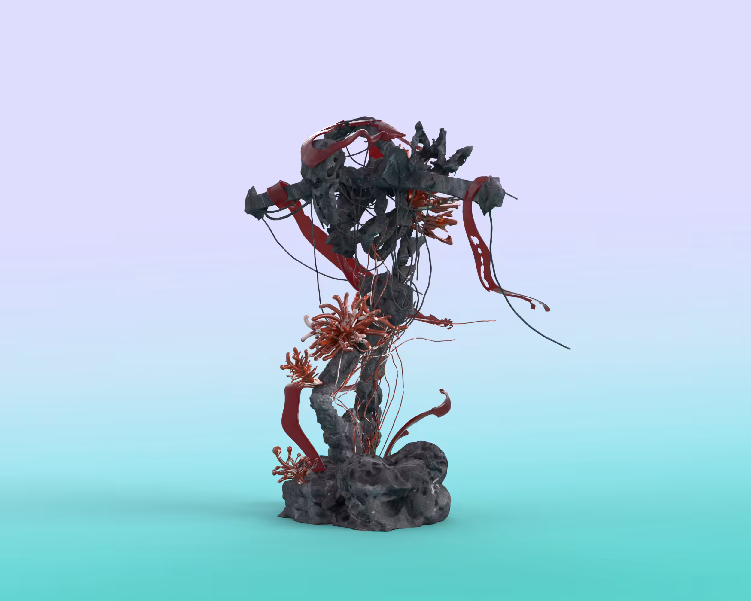 The Coral one.