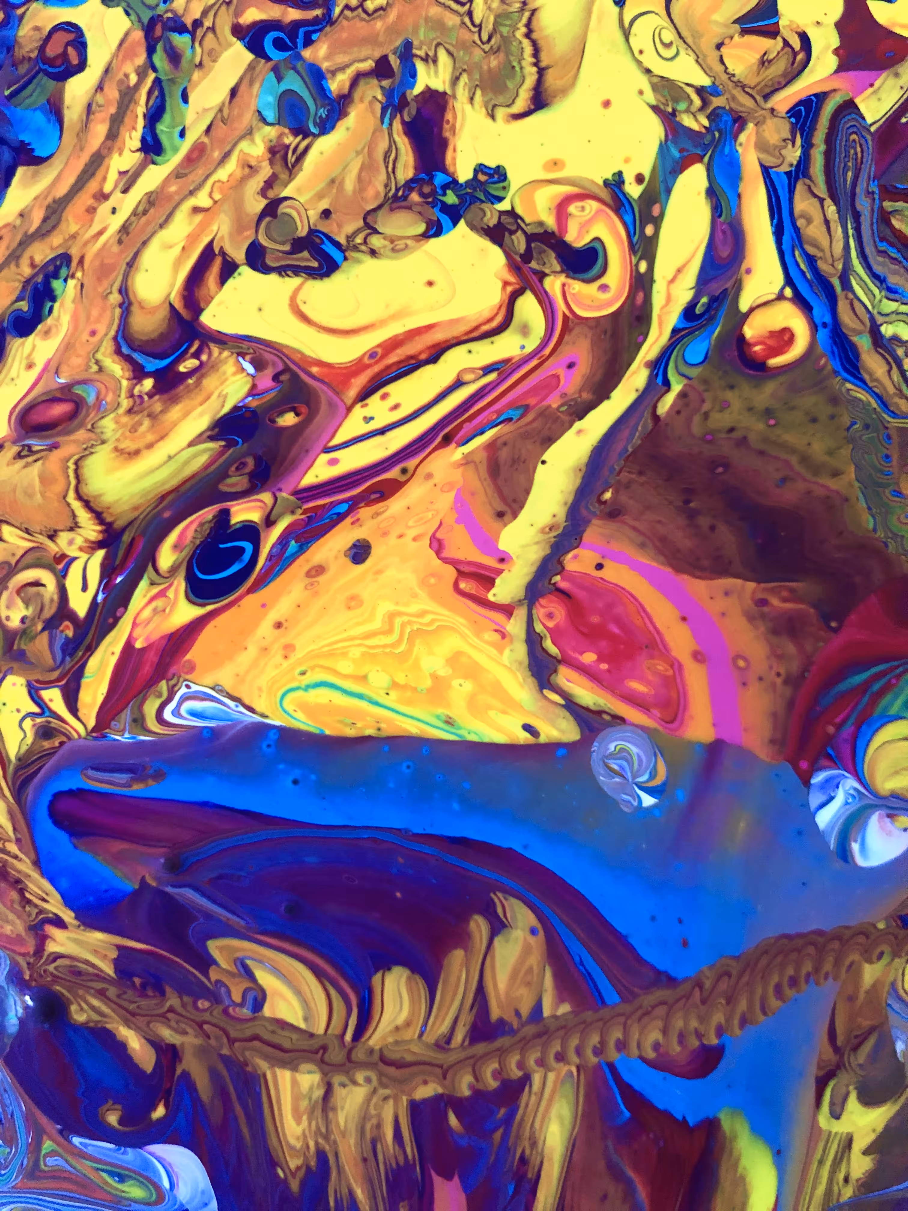 Puddle 23