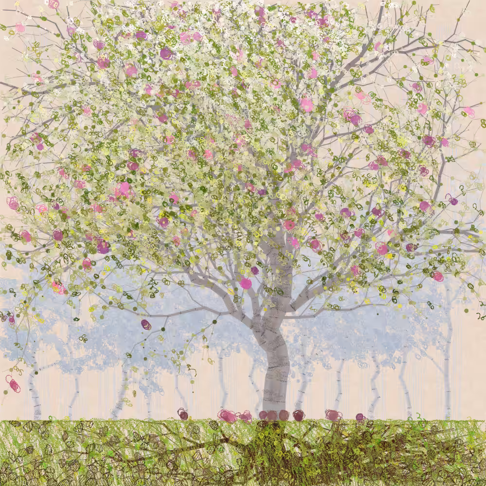Orchard #215