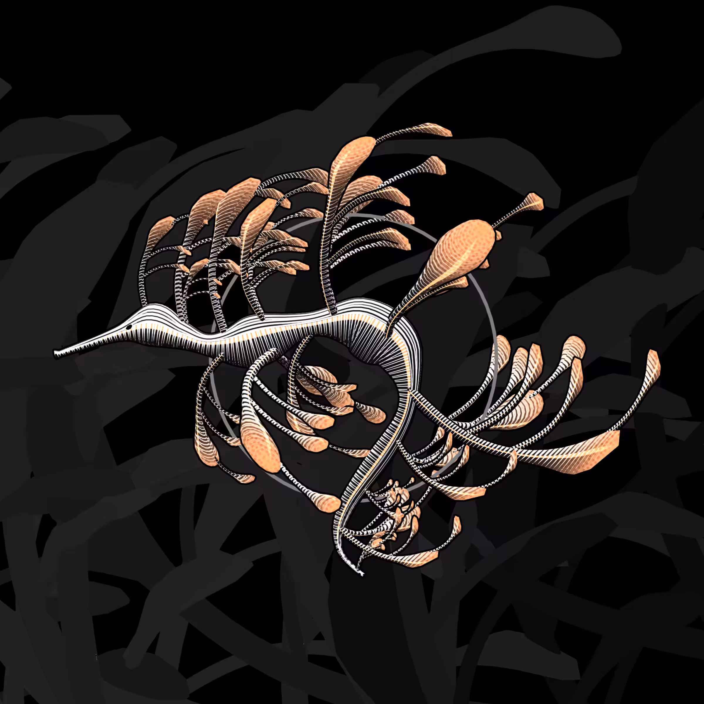 Seadragons #148