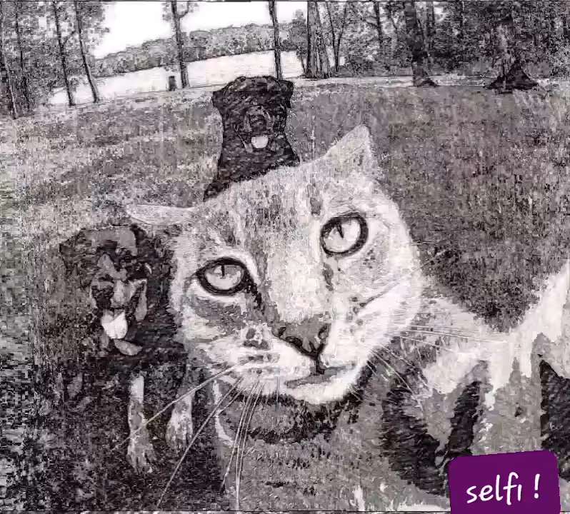 S.E.L.F.I   !!!!