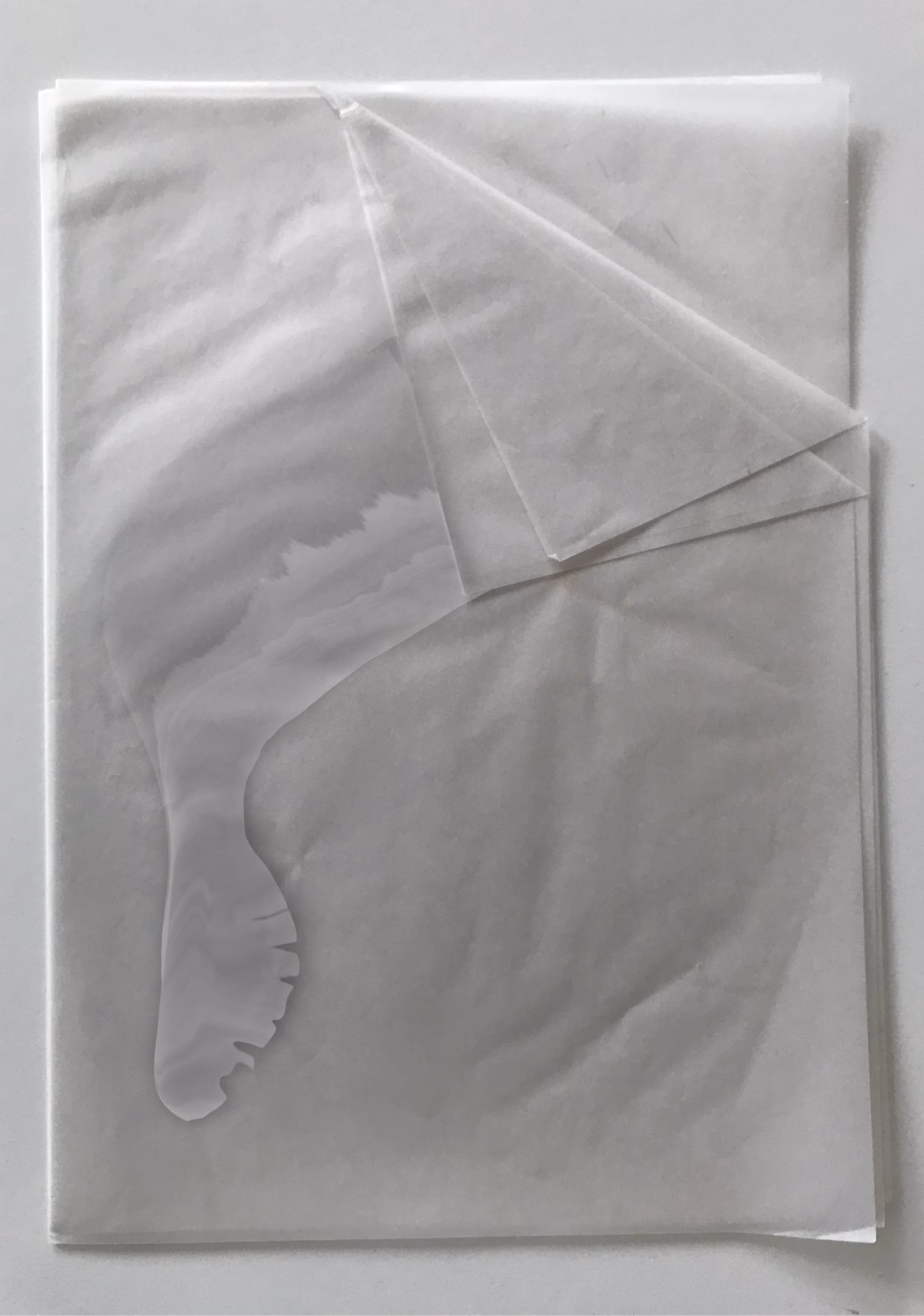 Digital Artefact (trace)