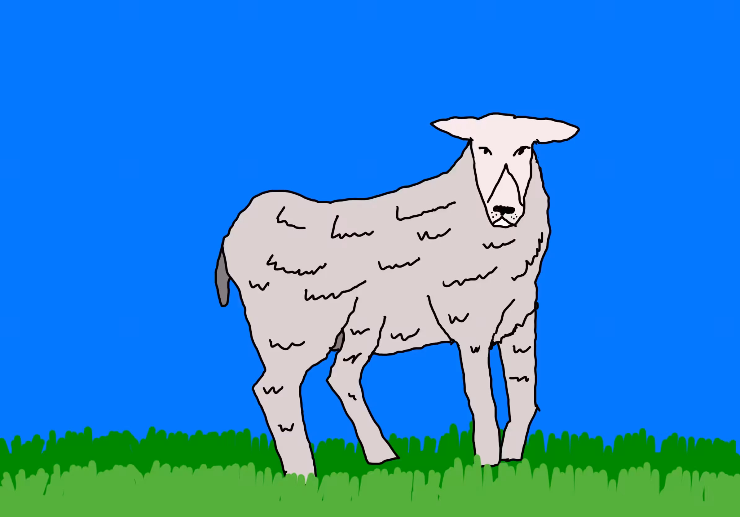 GM! editions: GM! #67 fluffy sheep